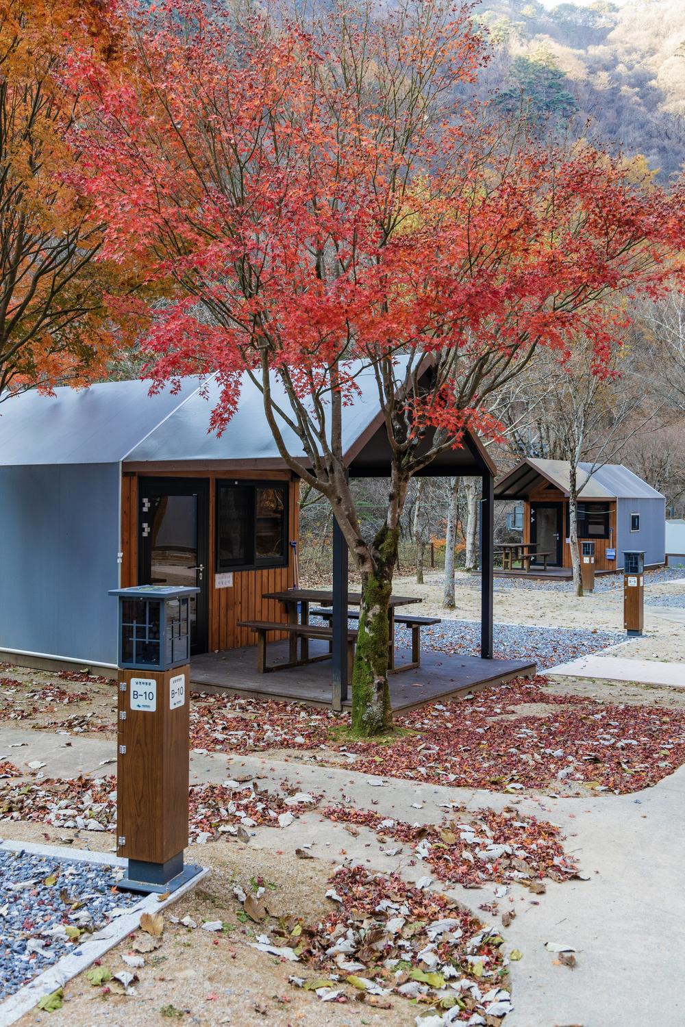 소백산국립공원 남천야영장