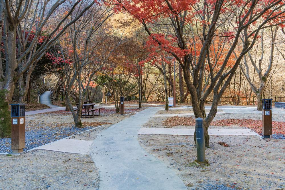 소백산국립공원 남천야영장