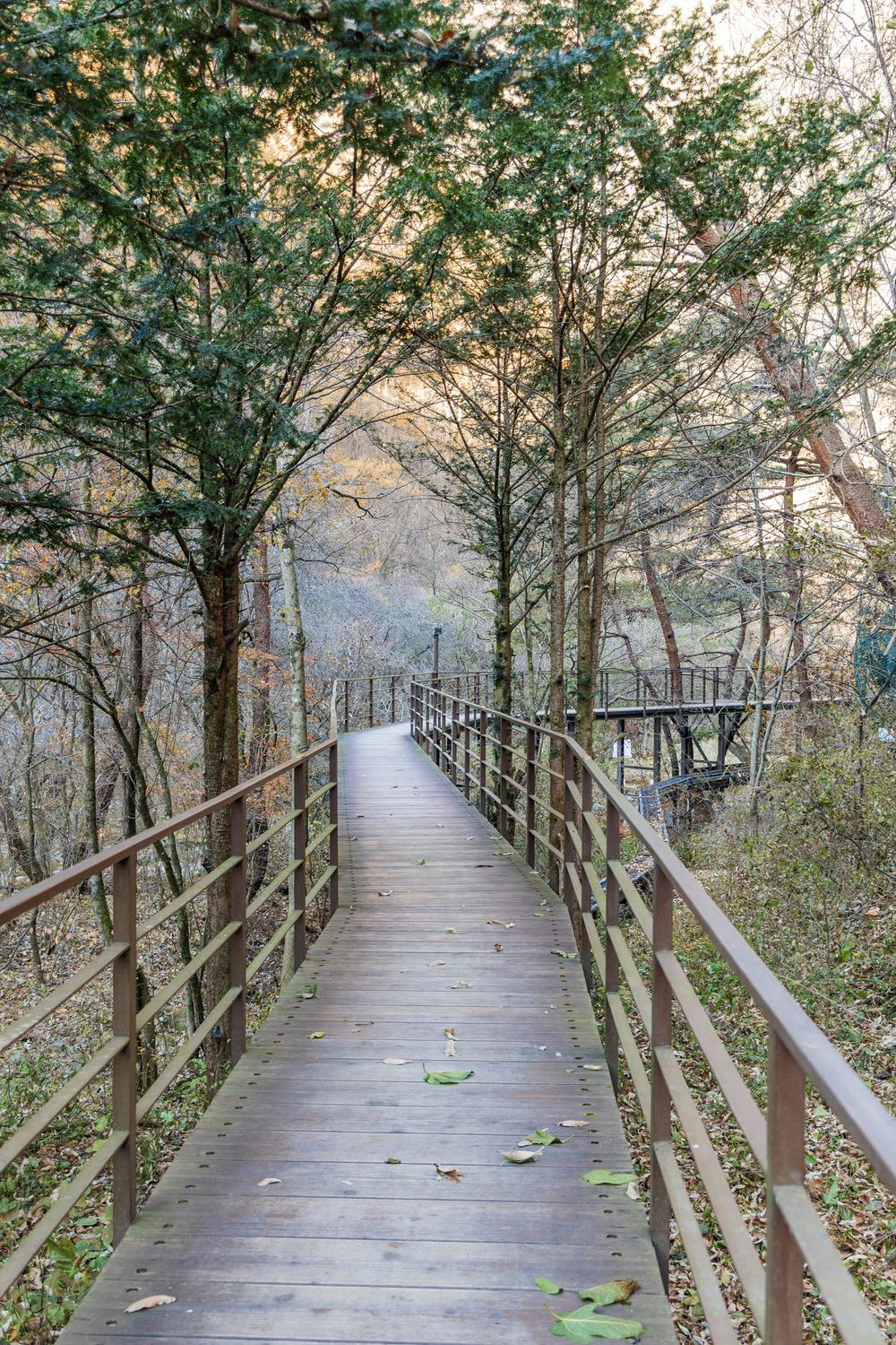 소백산국립공원 남천야영장
