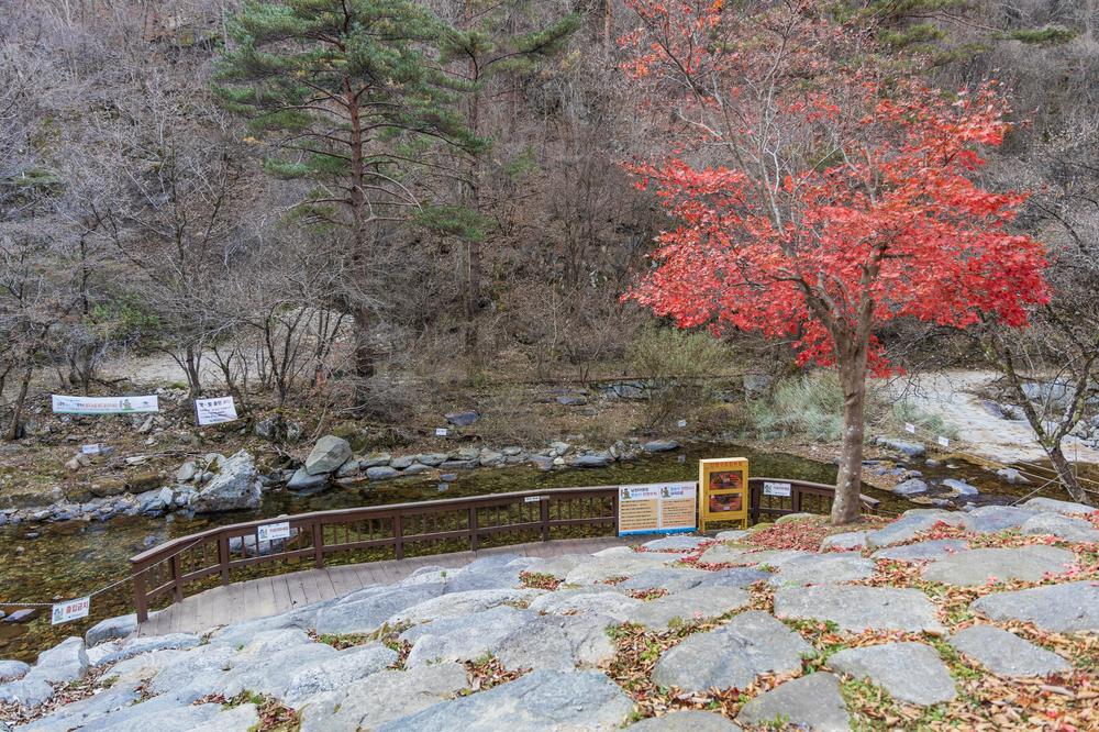 소백산국립공원 남천야영장