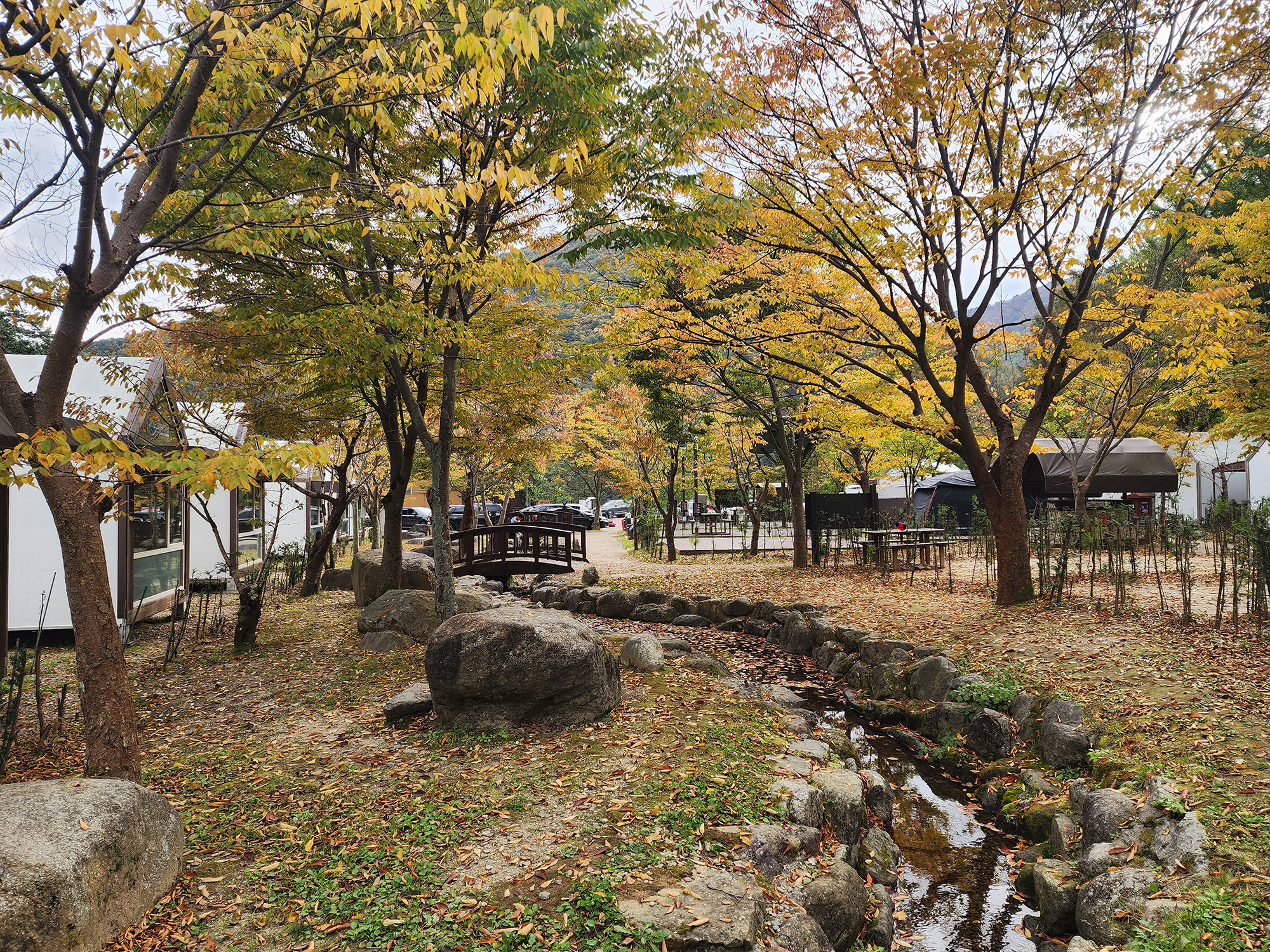 소백산삼가야영장 이미지