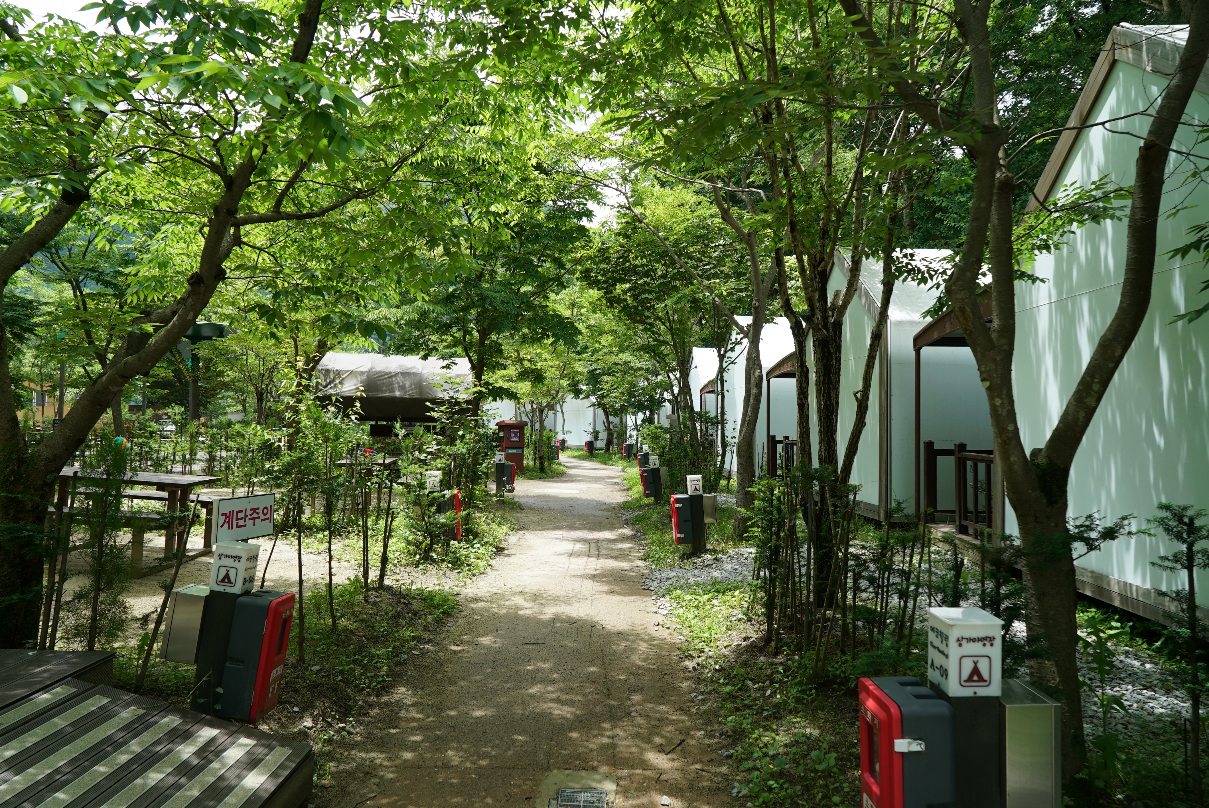 소백산삼가야영장 31번째 이미지