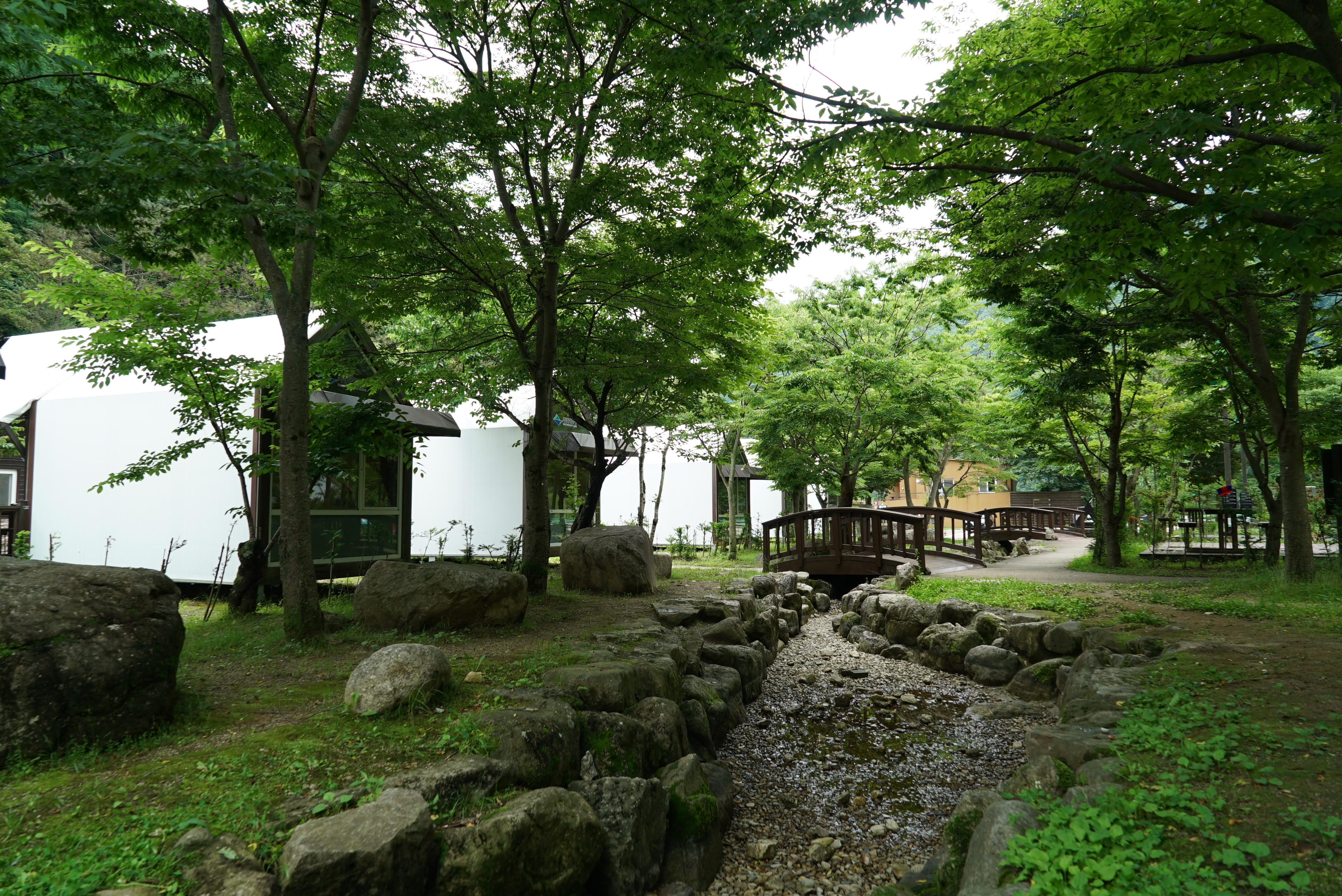 소백산삼가야영장 23번째 이미지