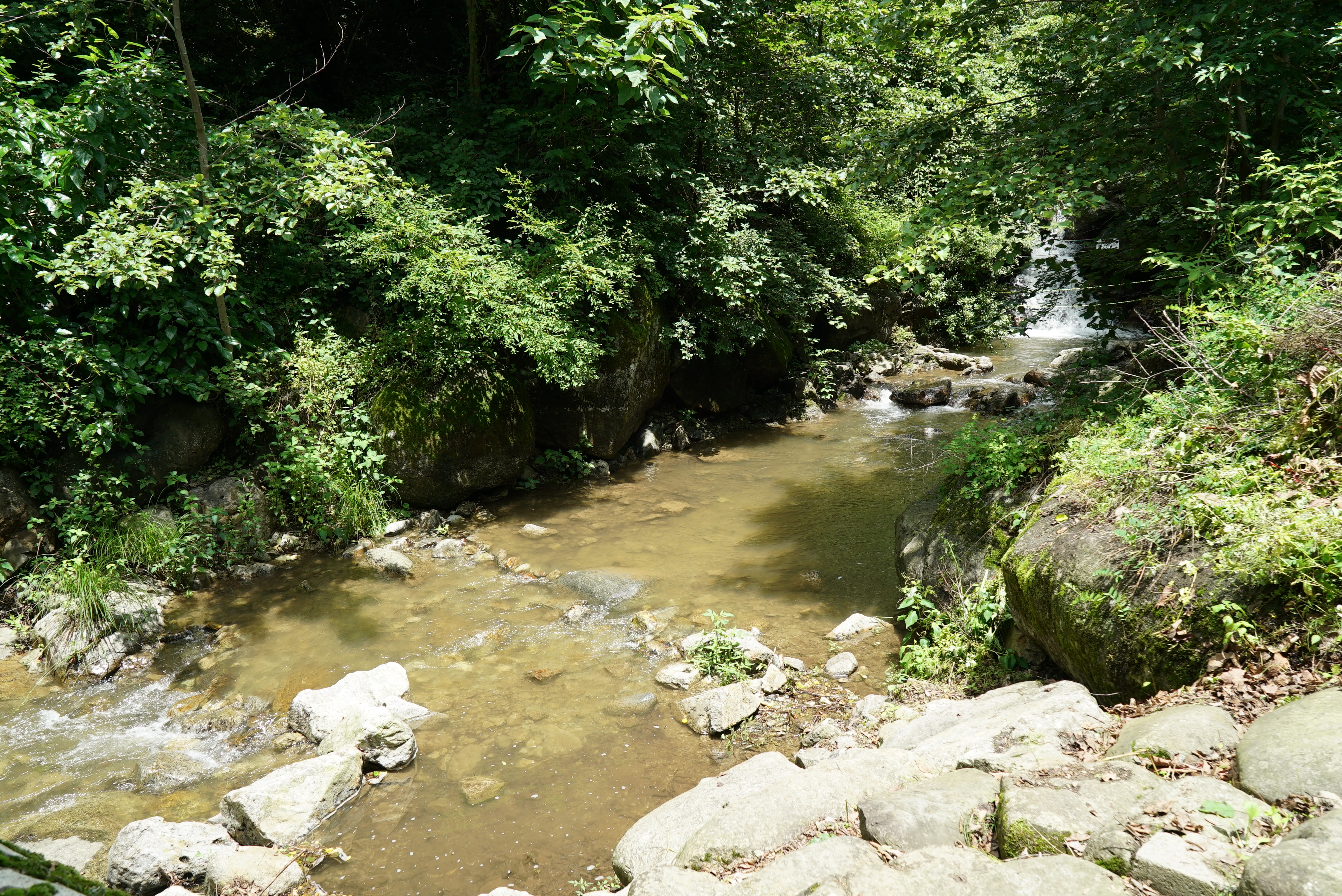 소백산삼가야영장 33번째 이미지