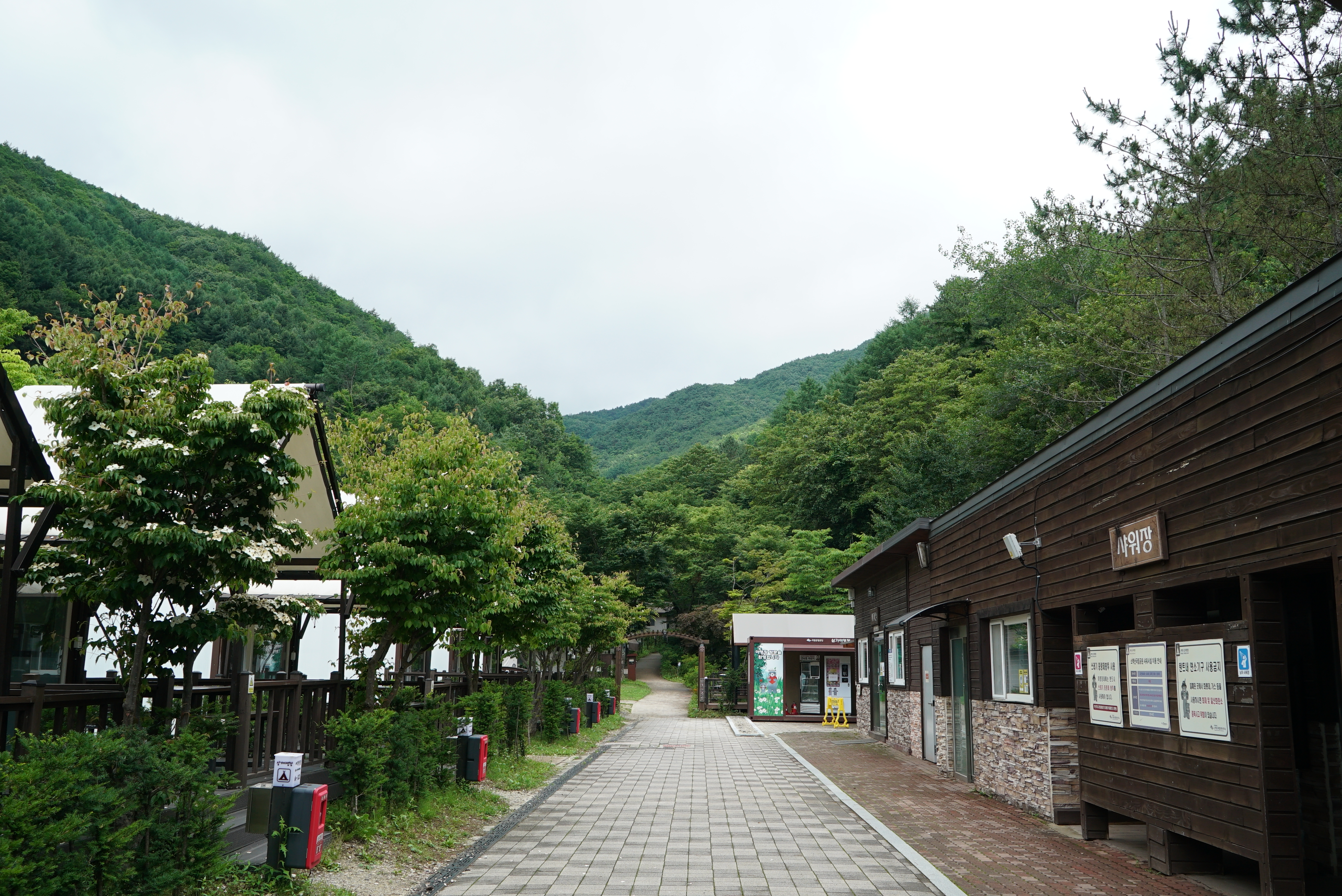 소백산삼가야영장 27번째 이미지