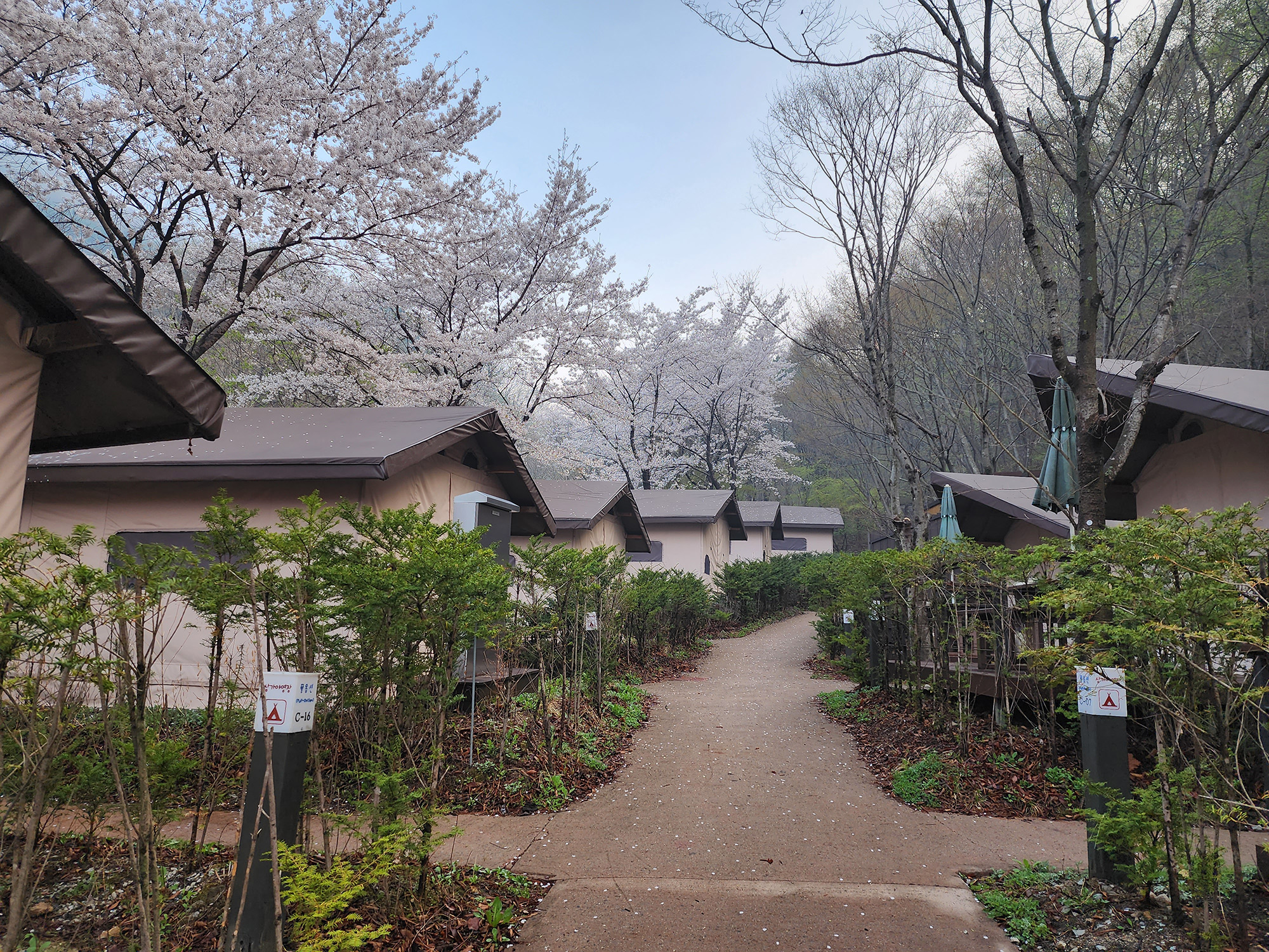 소백산삼가야영장 이미지