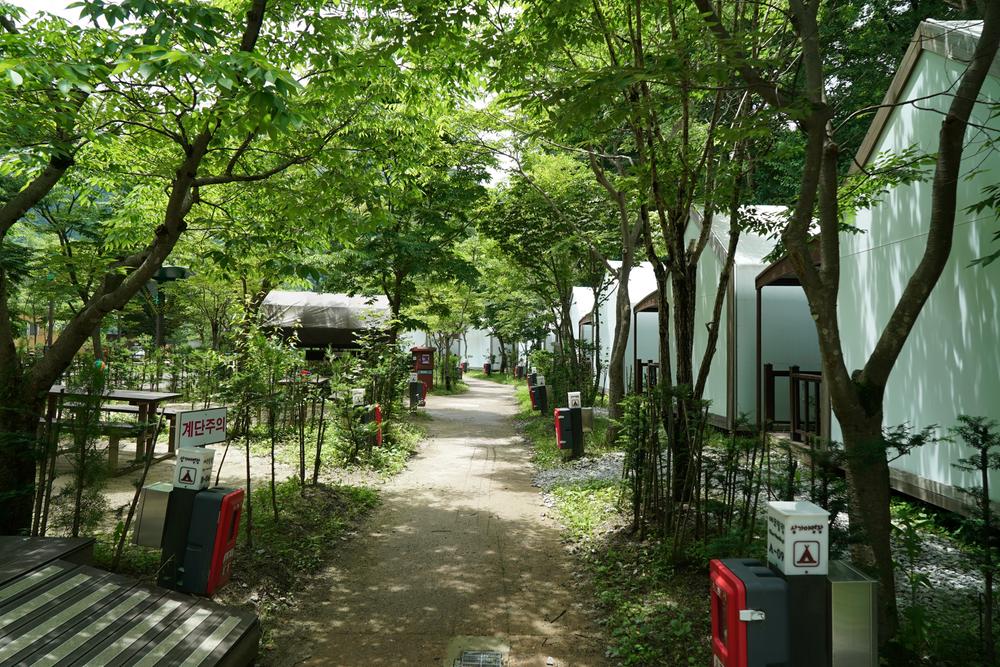 소백산삼가야영장