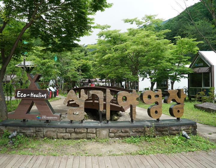 소백산삼가야영장 메인 이미지