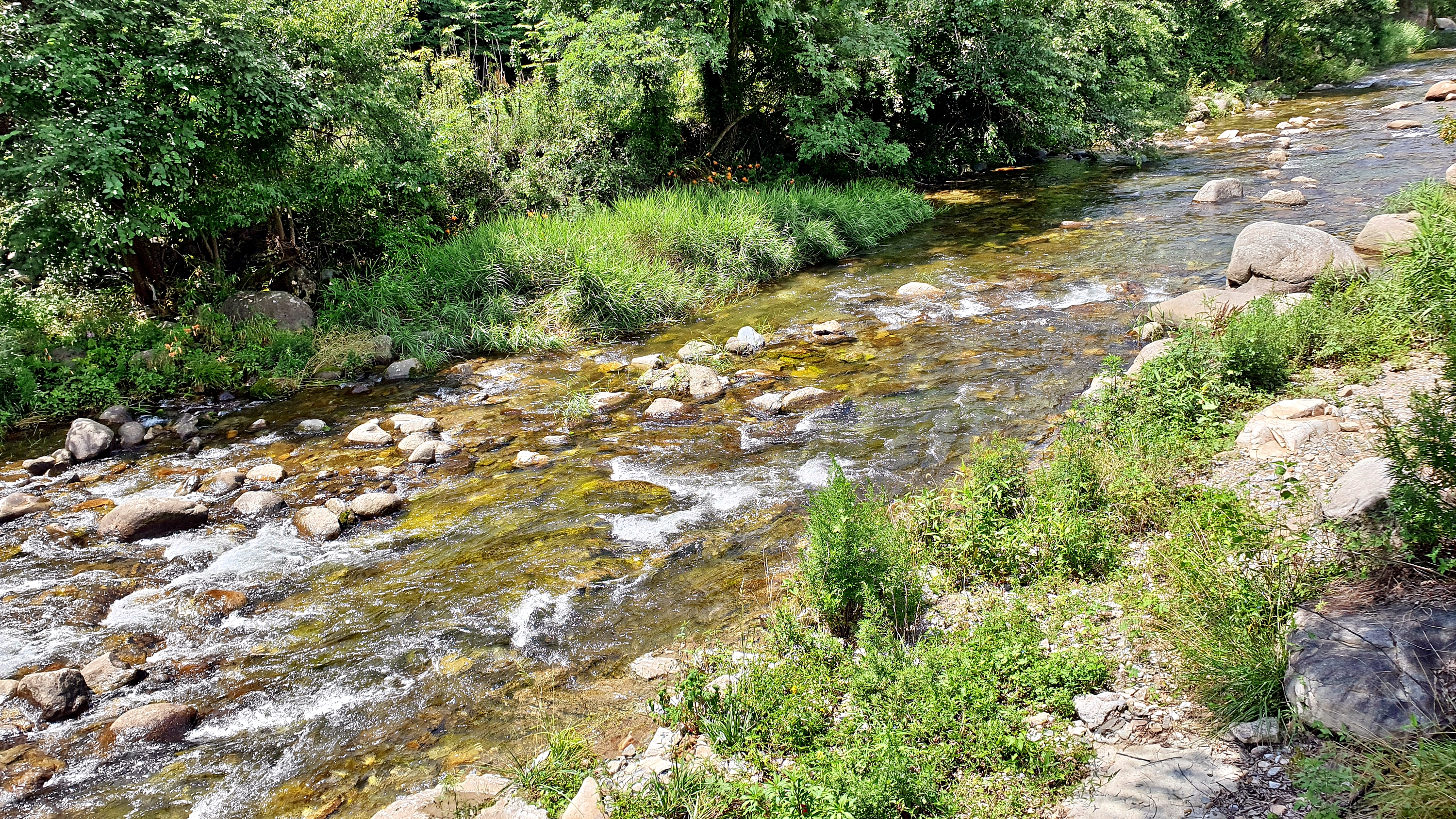 소백산오토캠핑장 15번째 이미지