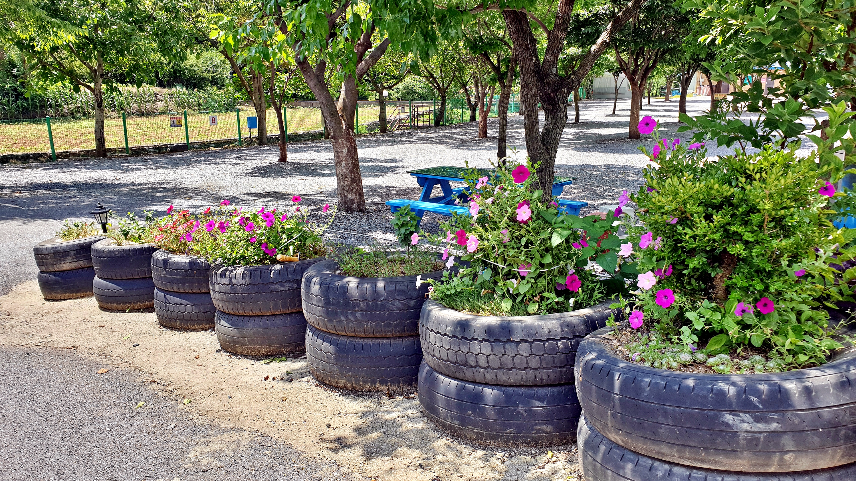 소백산오토캠핑장 25번째 이미지