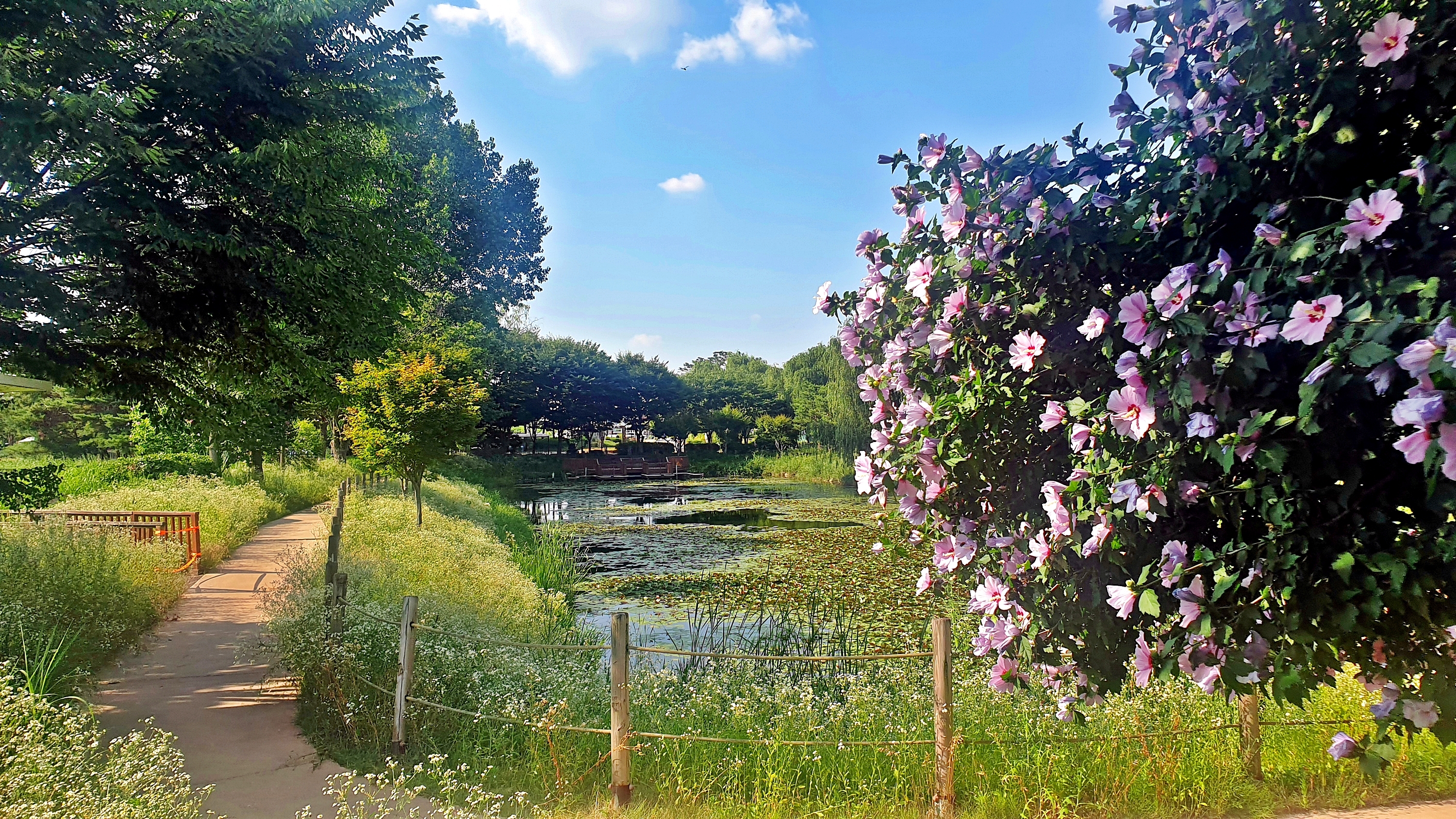 소풍정원 캠핑장 47번째 이미지