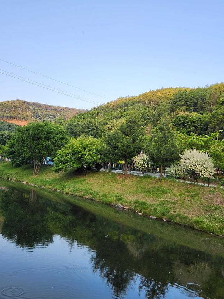 속리산알프스캠핑장&펜션 메인 이미지