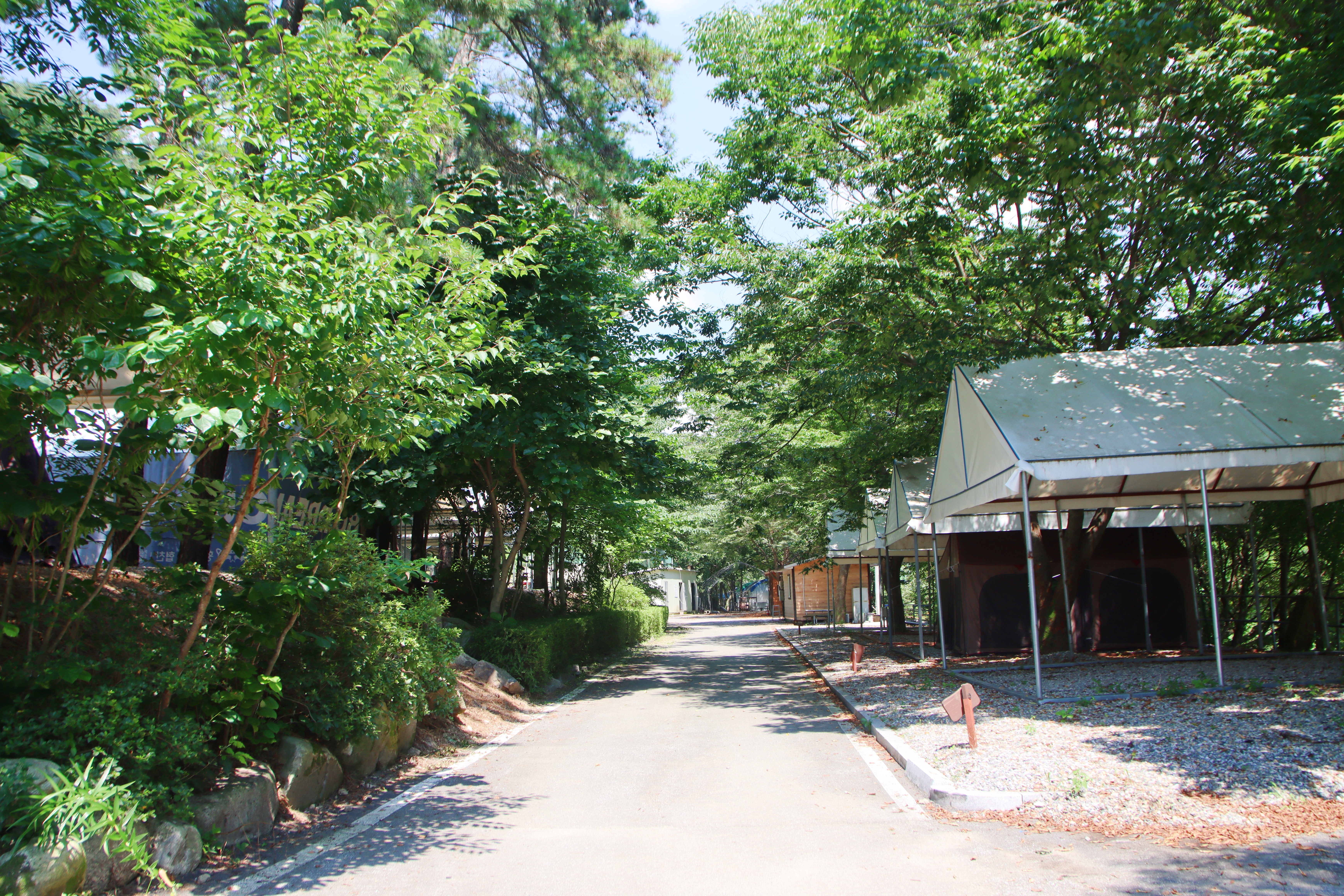 솔밭체육공원오토캠핑장 26번째 이미지