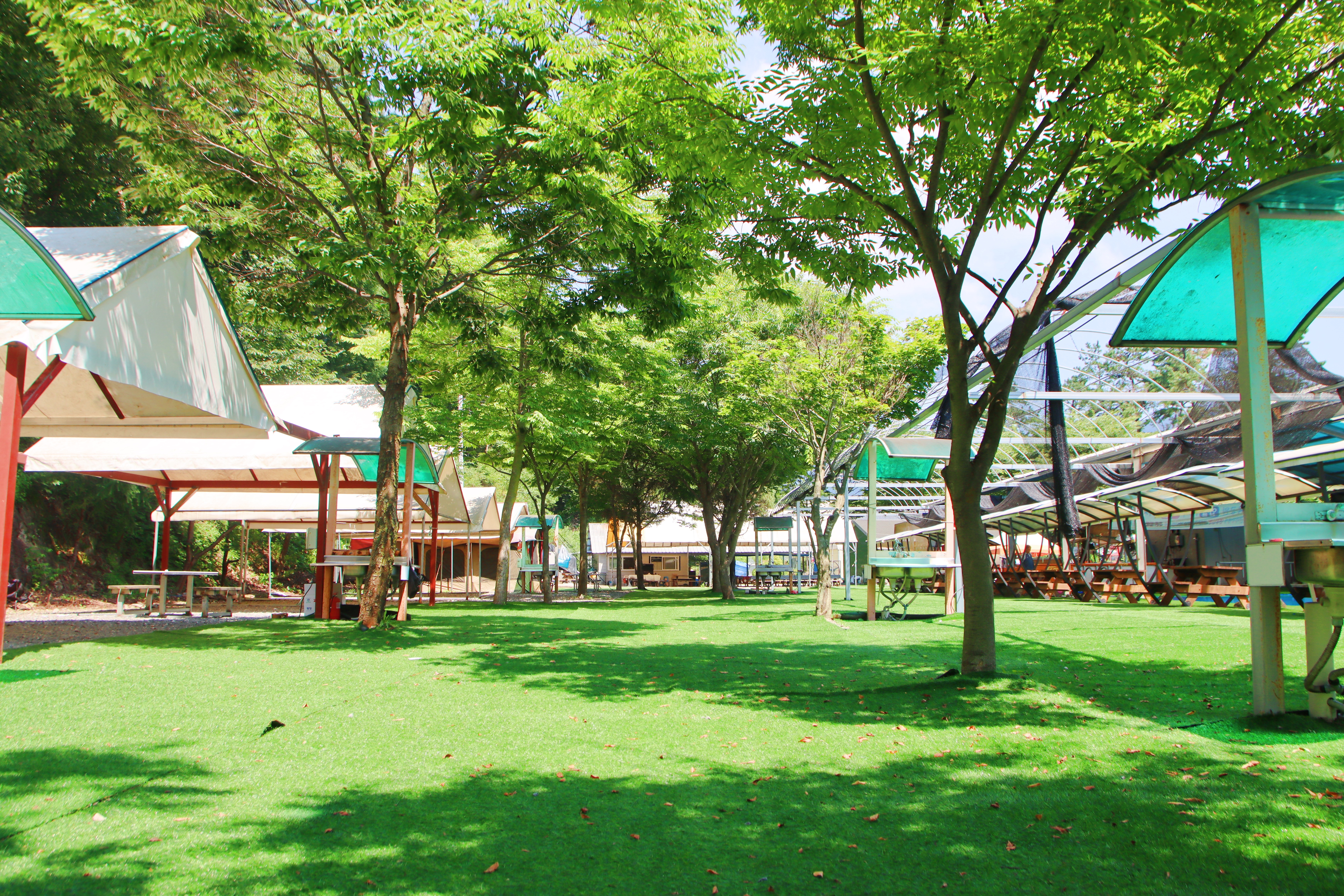 솔밭체육공원오토캠핑장 23번째 이미지