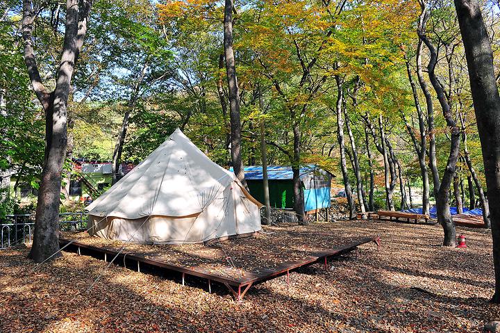 숲속가든 캠핑장