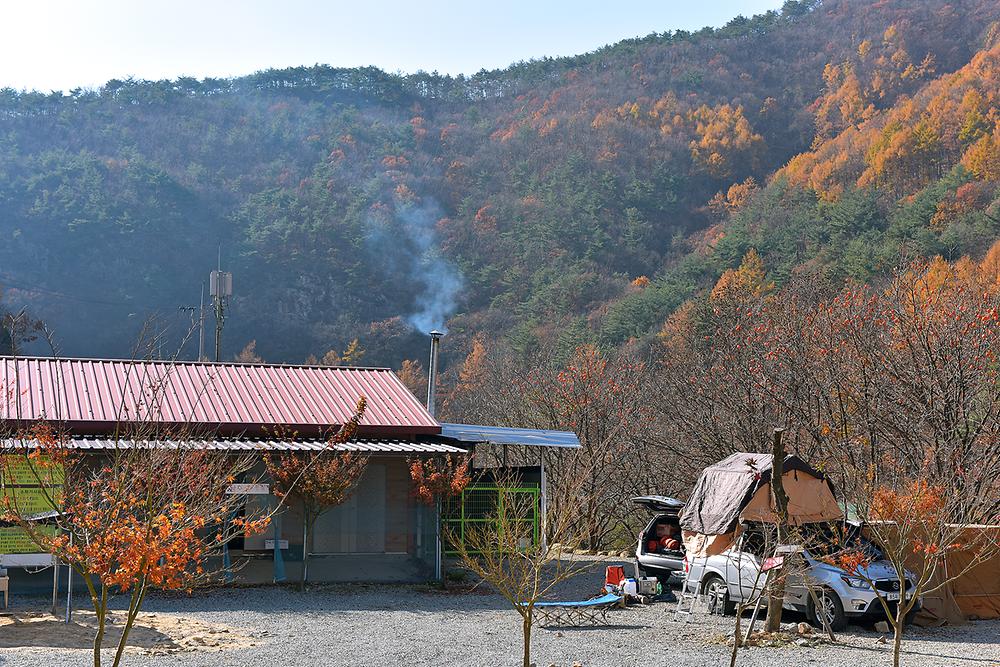 숲이조아 오토캠핑장