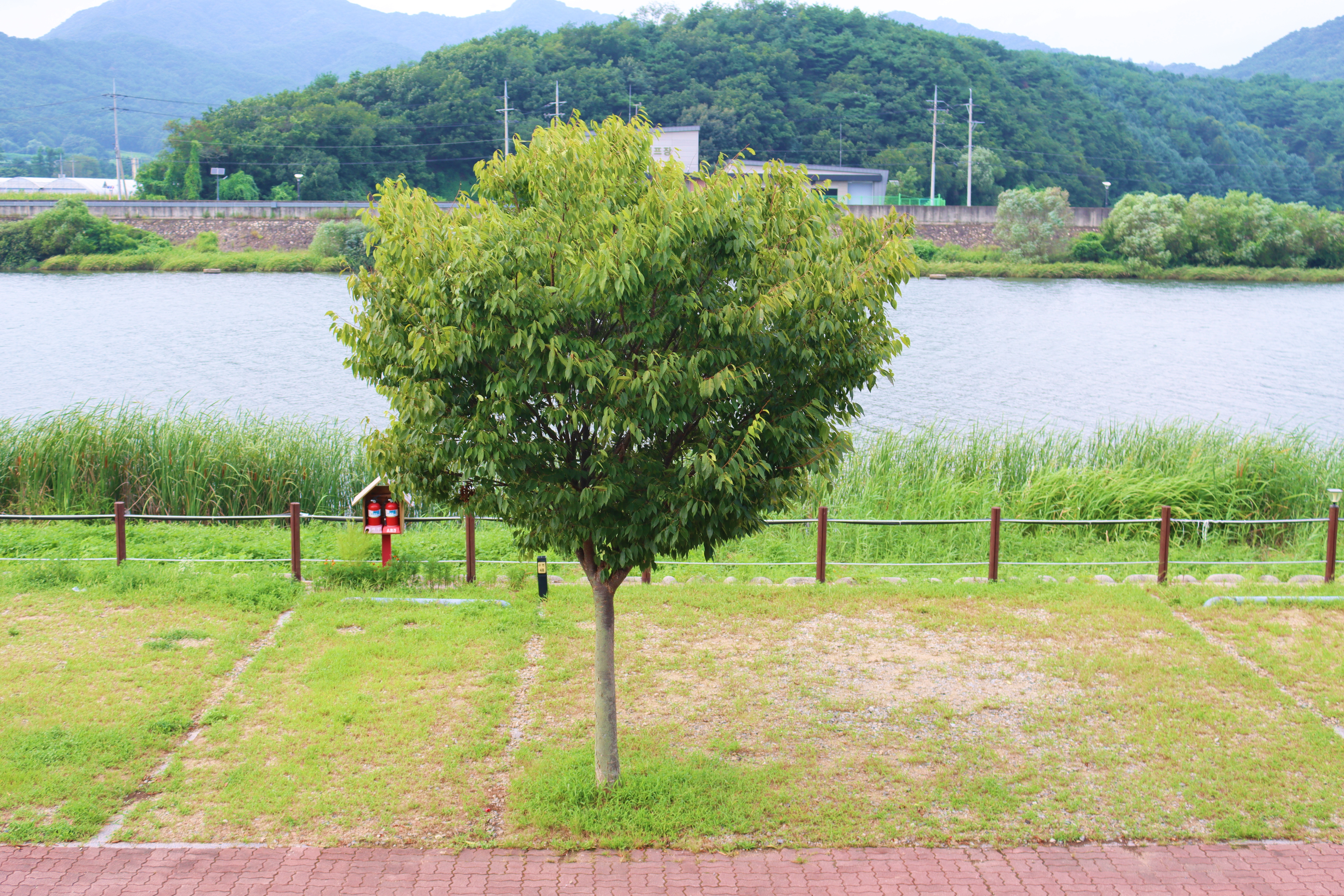 쉬리마을 농어촌 관광 휴양단지 야영장 6번째 이미지