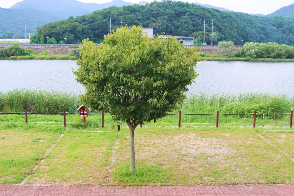 쉬리마을 농어촌 관광 휴양단지 야영장