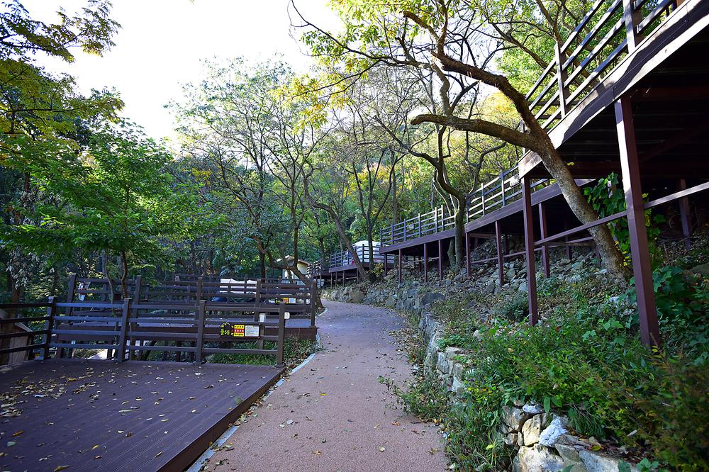 신어산자연숲캠핑장