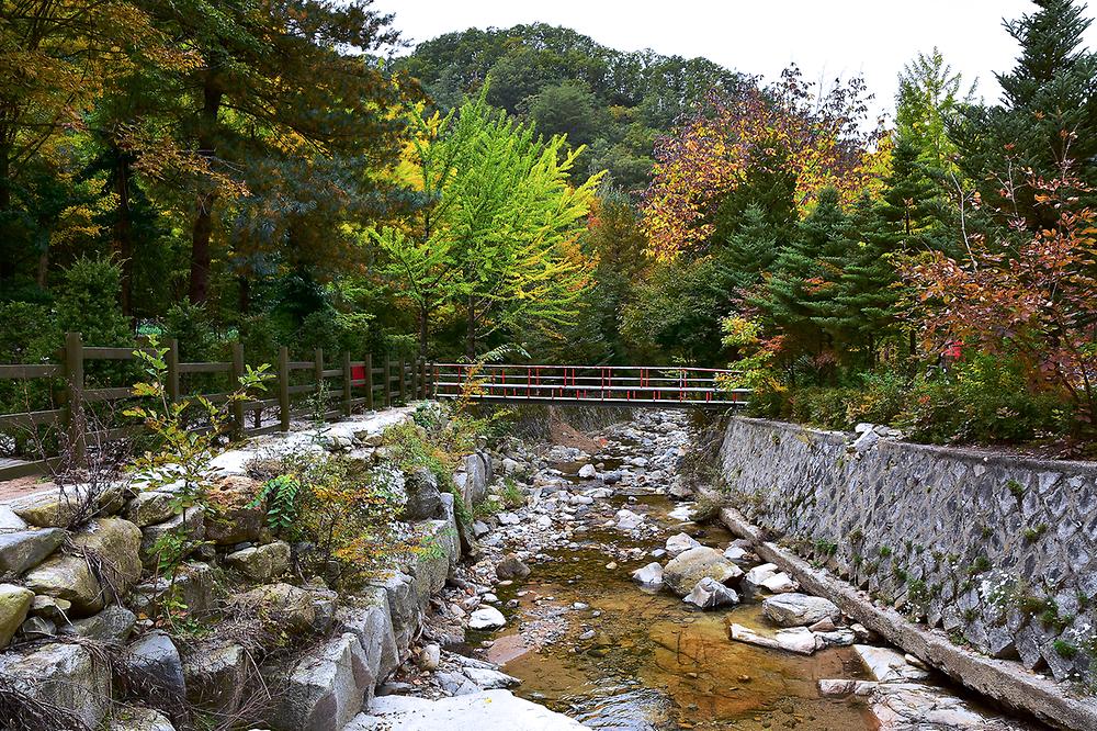 아버지의숲 산정캠프