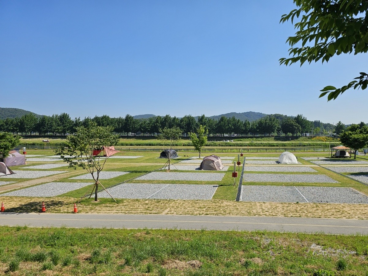 아산곡교천야영장 이미지