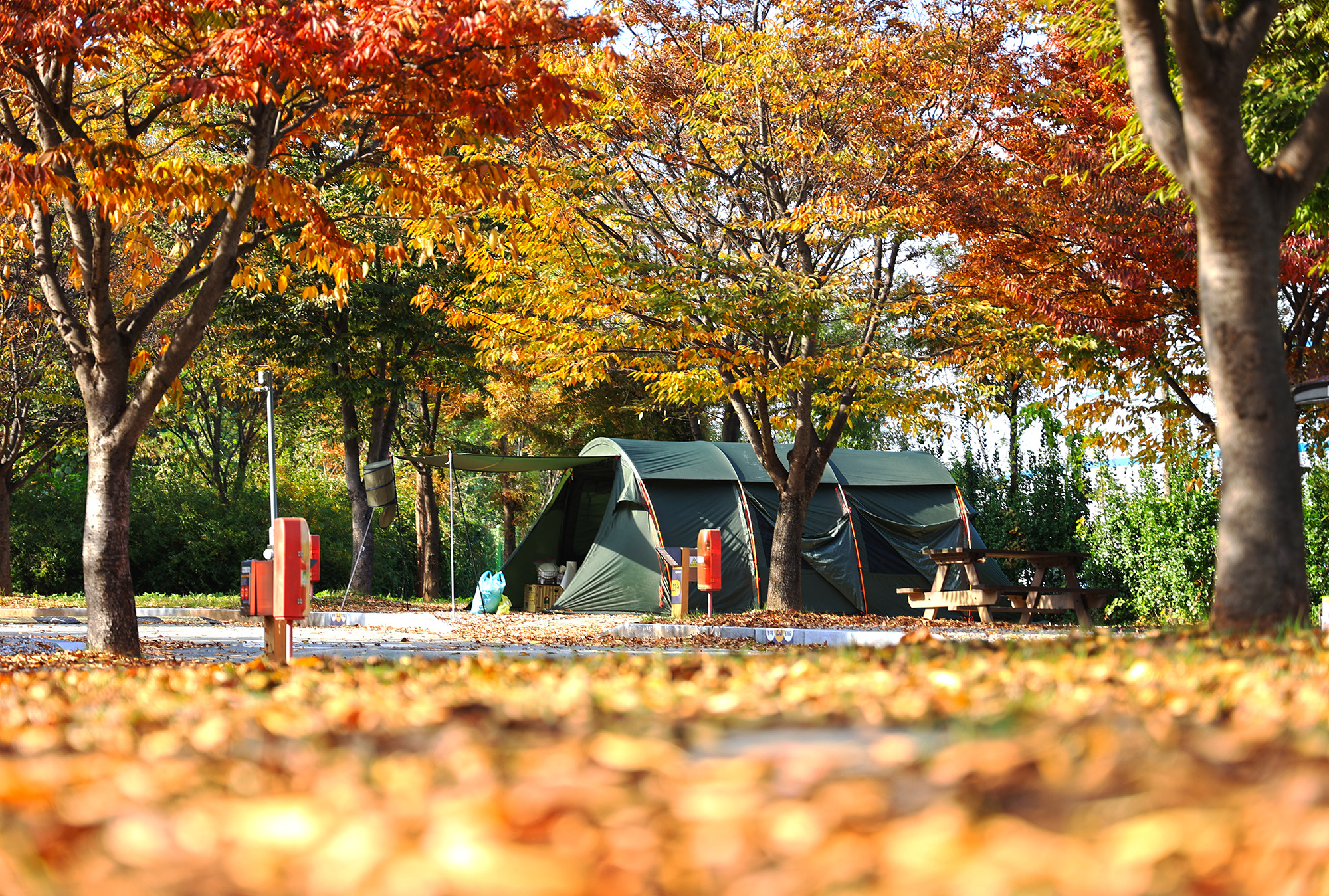 안성맞춤 캠핑장 이미지