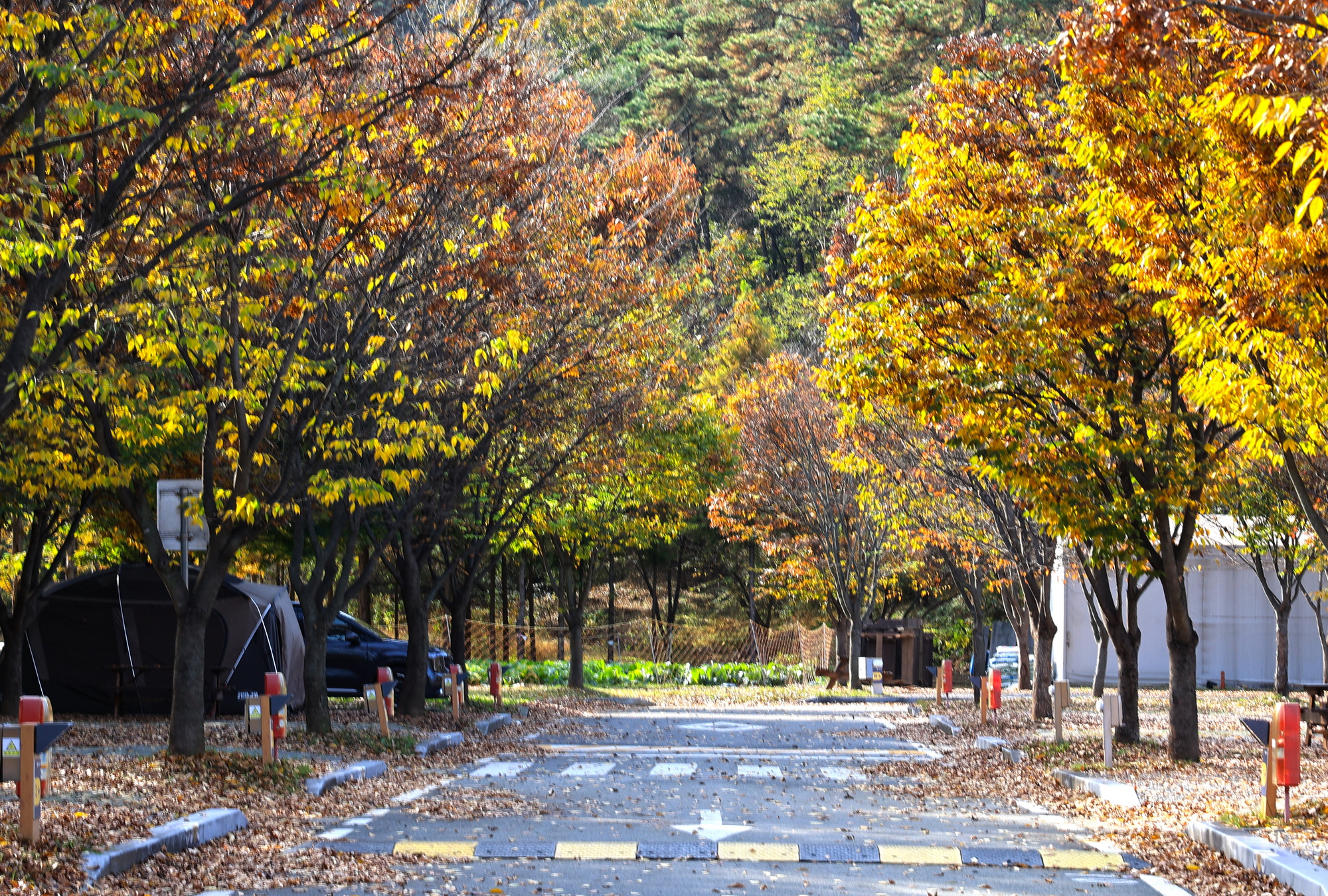 안성맞춤 캠핑장 35번째 이미지