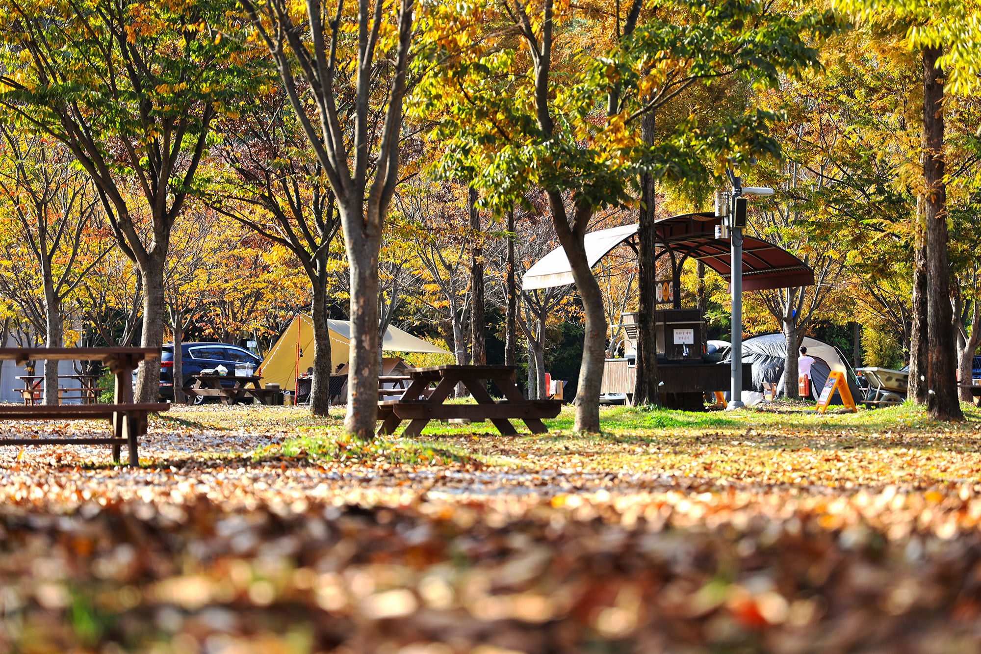 안성맞춤 캠핑장 이미지