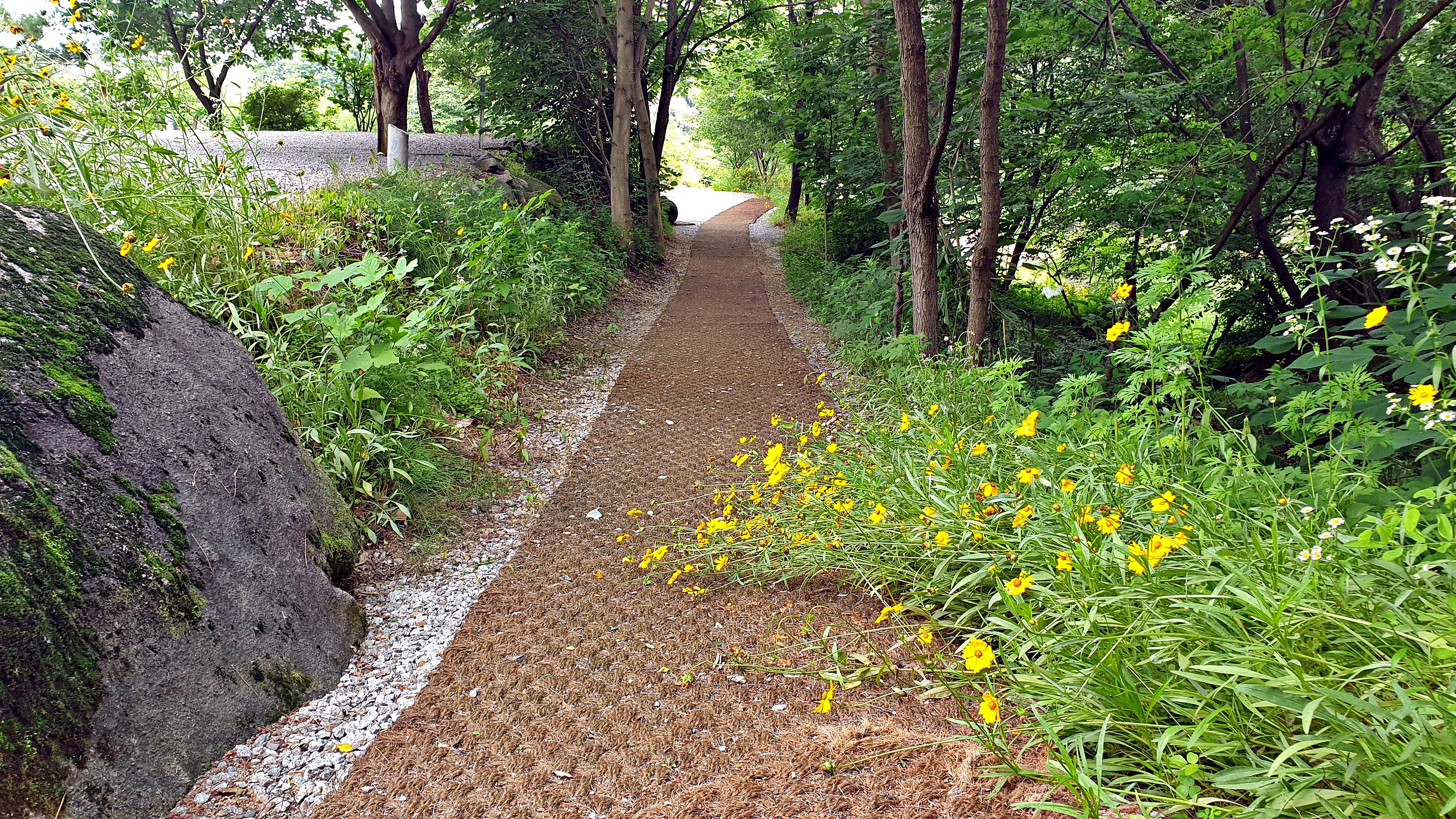 안성비봉산 캠핑장 26번째 이미지