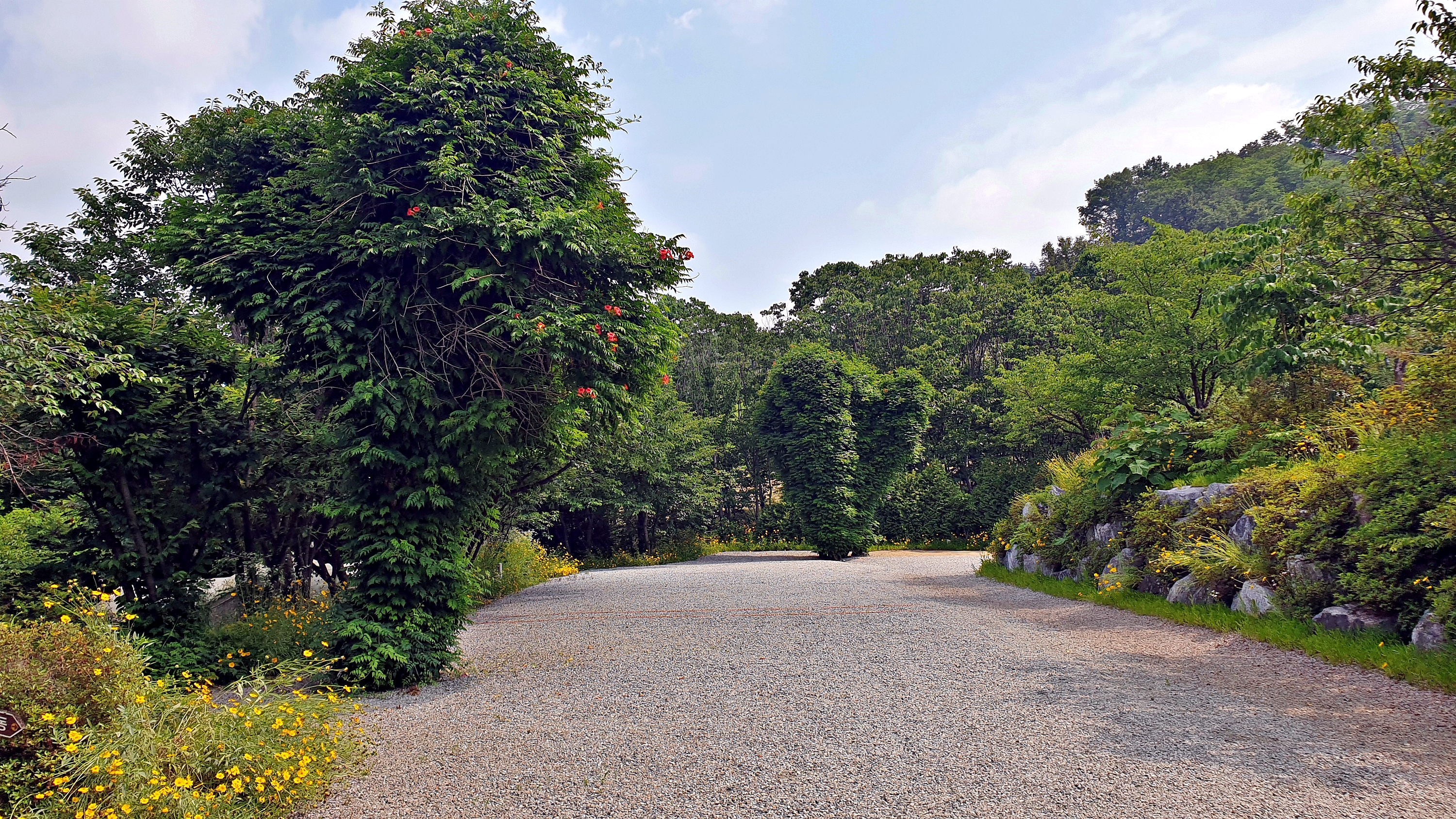 안성비봉산 캠핑장 2번째 이미지