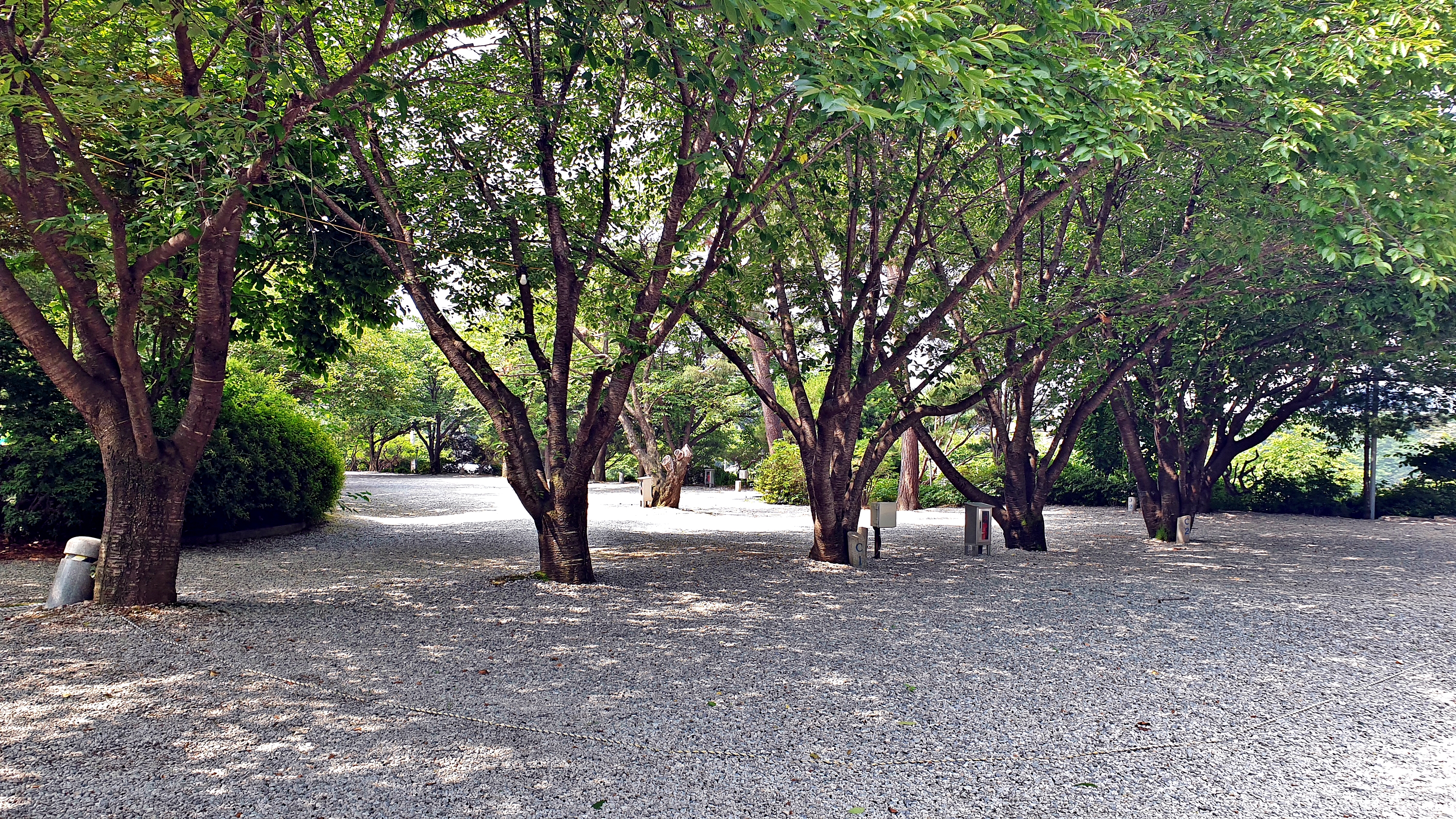안성비봉산 캠핑장 41번째 이미지