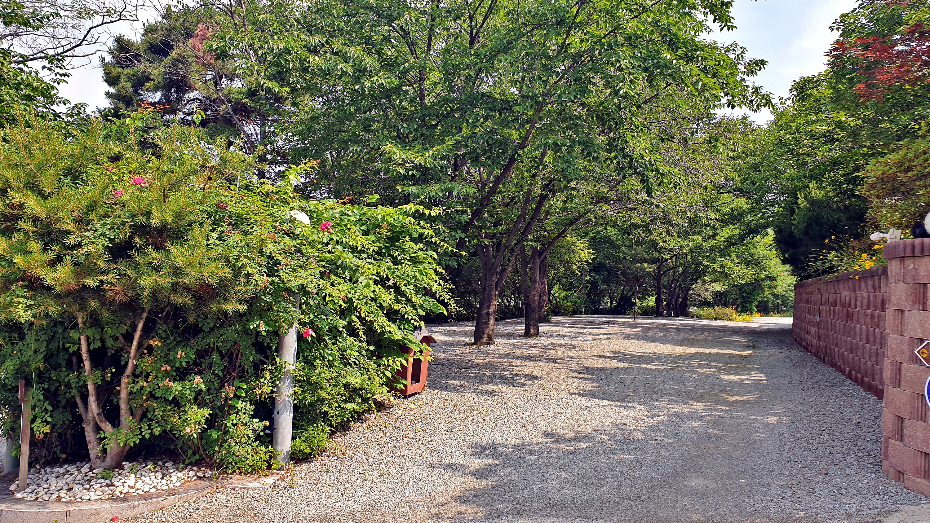 안성비봉산 캠핑장 5번째 이미지