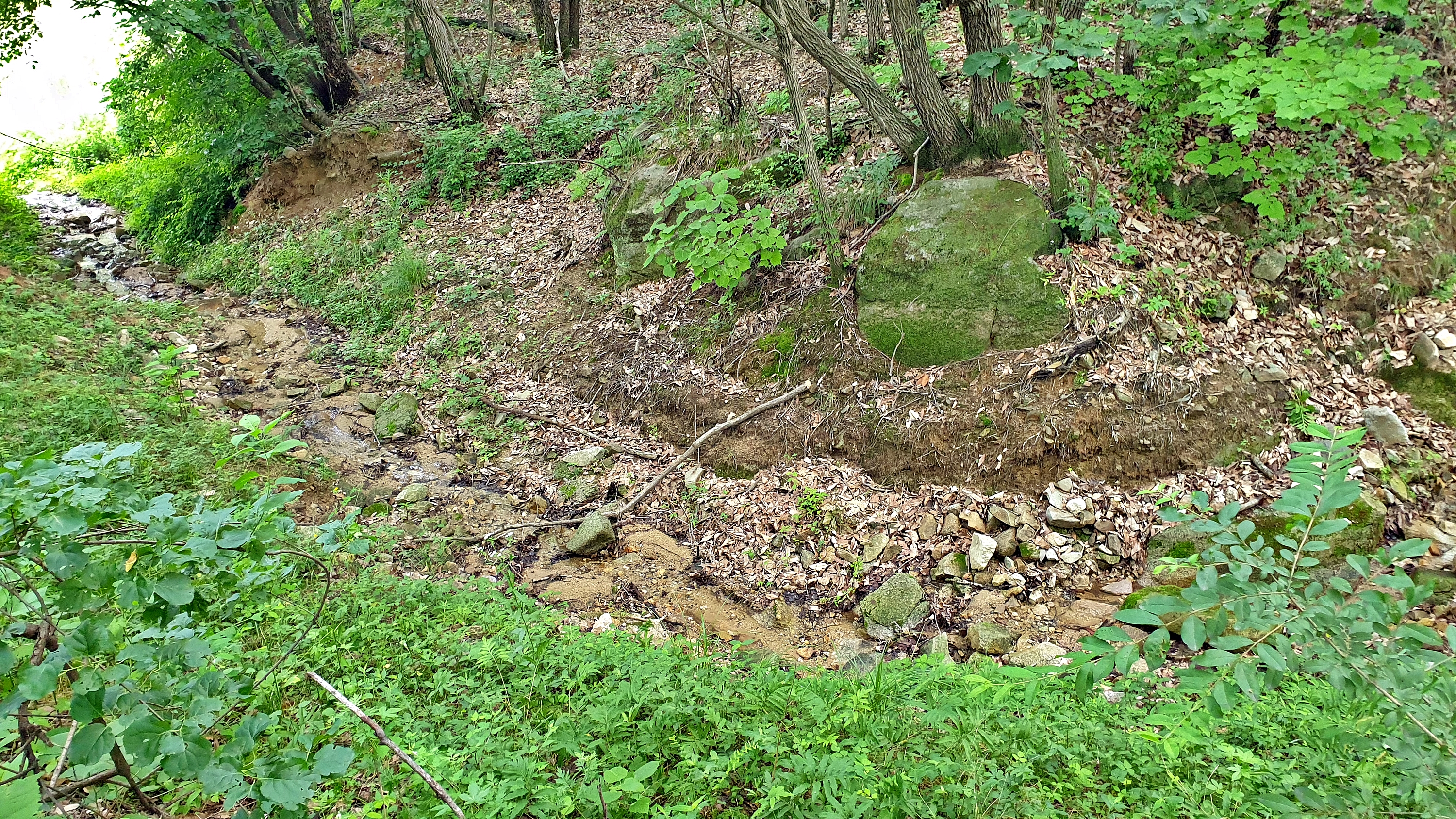 안성비봉산 캠핑장 27번째 이미지