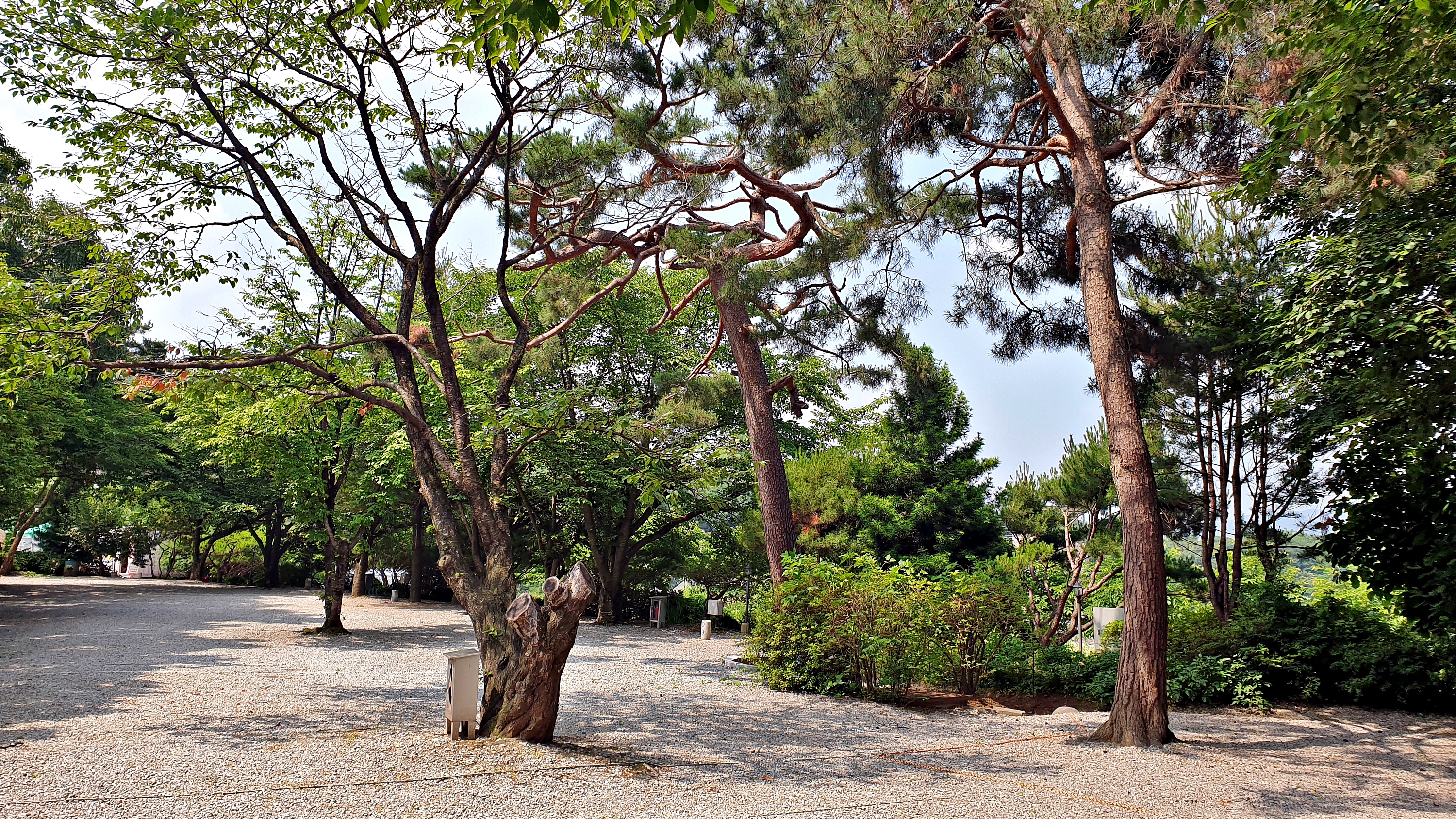 안성비봉산 캠핑장 42번째 이미지