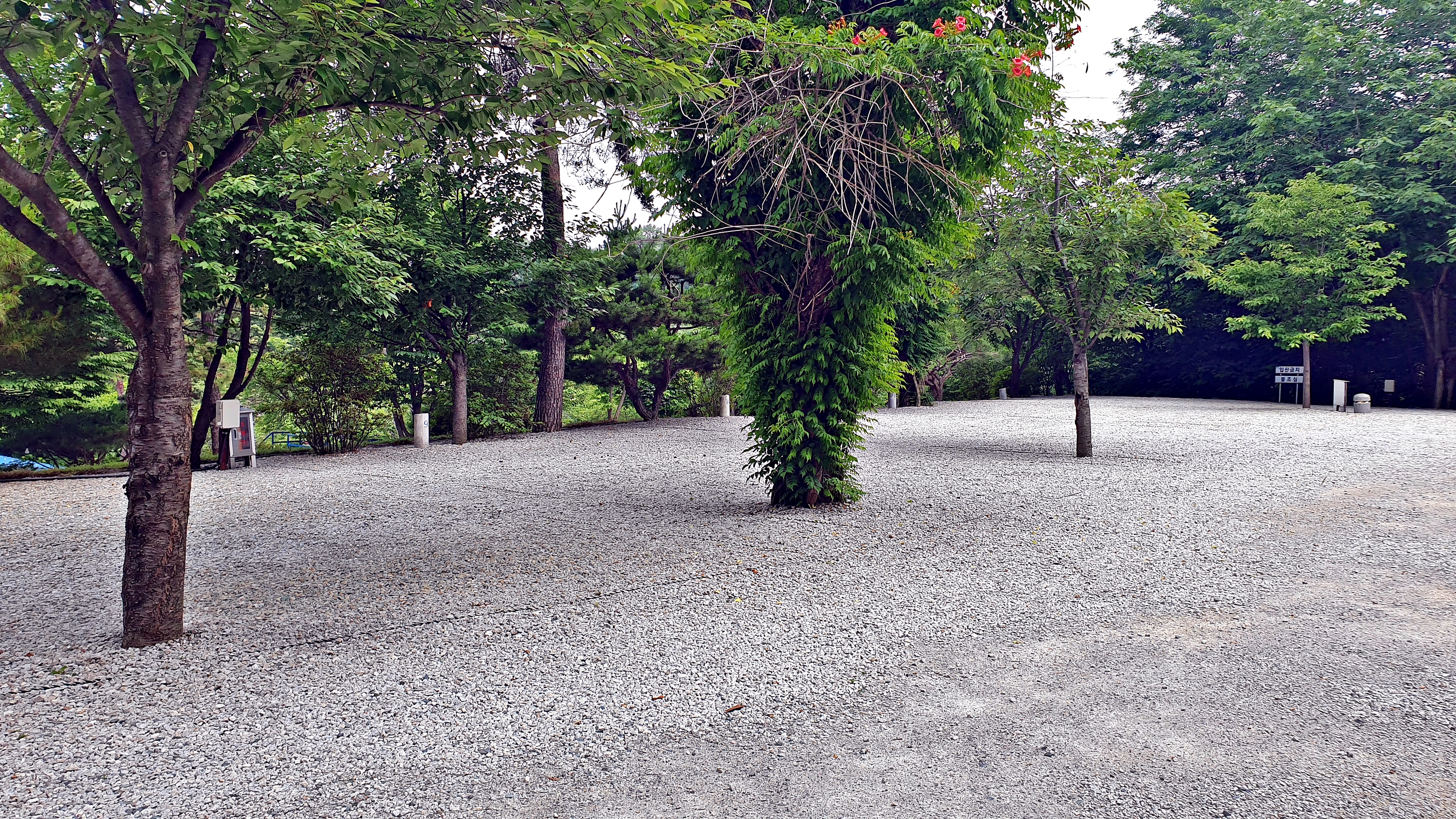 안성비봉산 캠핑장 29번째 이미지