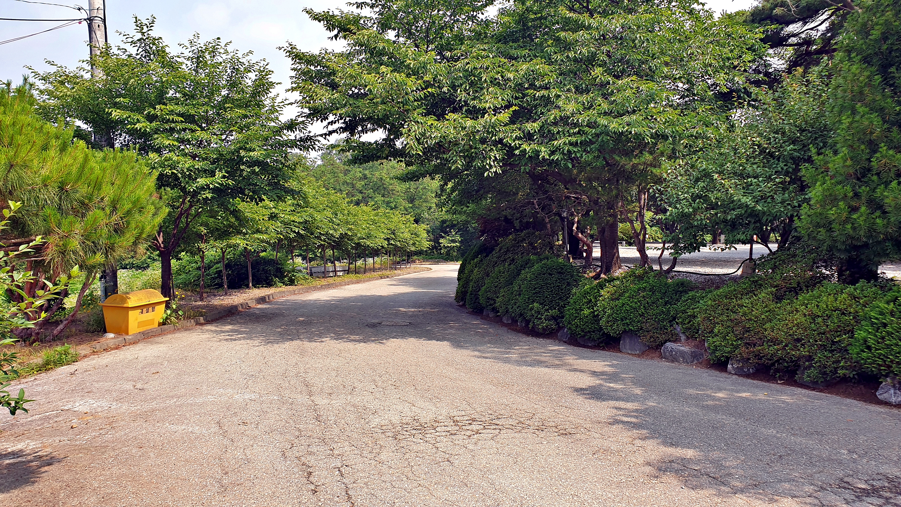 안성비봉산 캠핑장 4번째 이미지