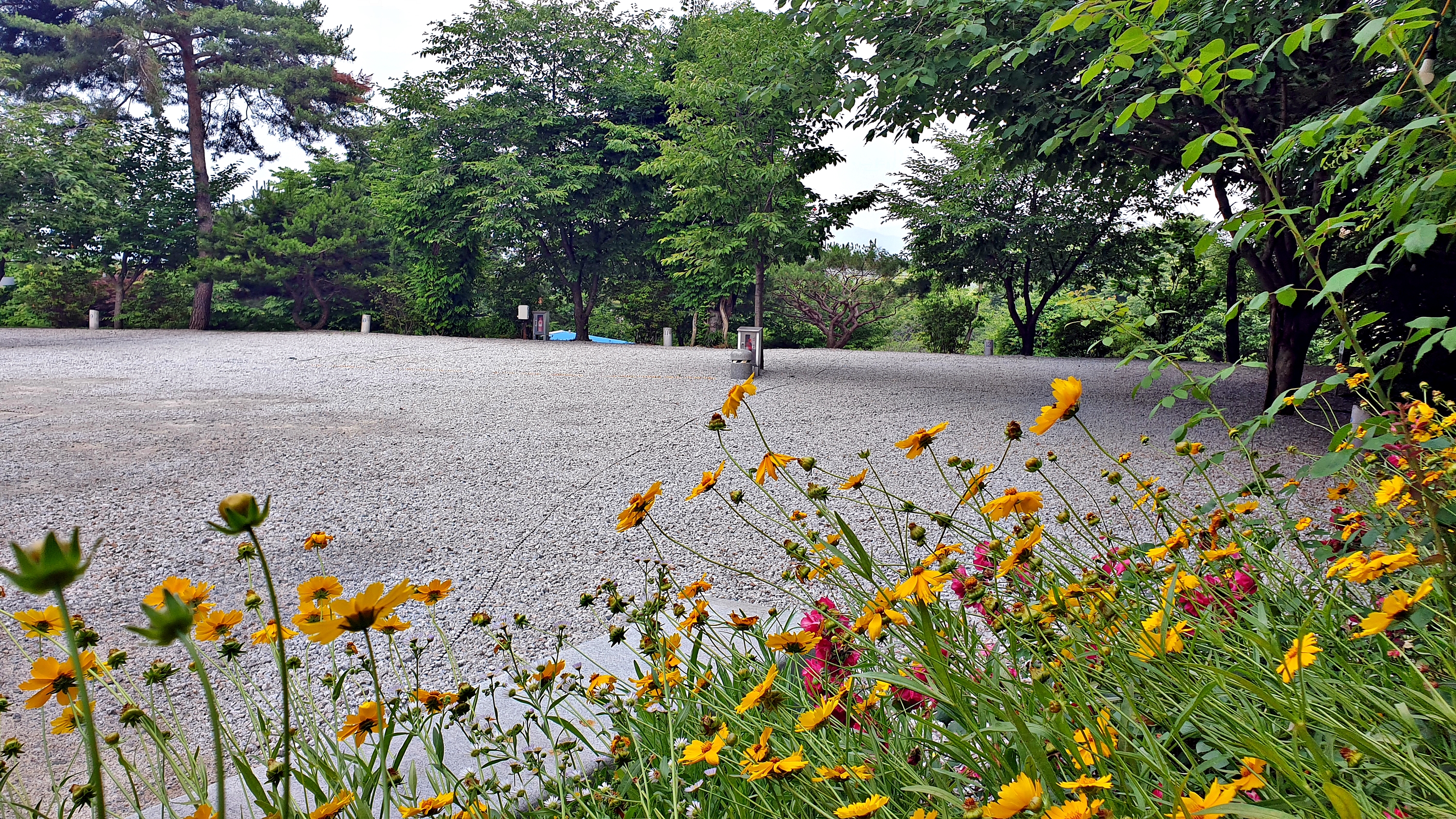 안성비봉산 캠핑장 28번째 이미지