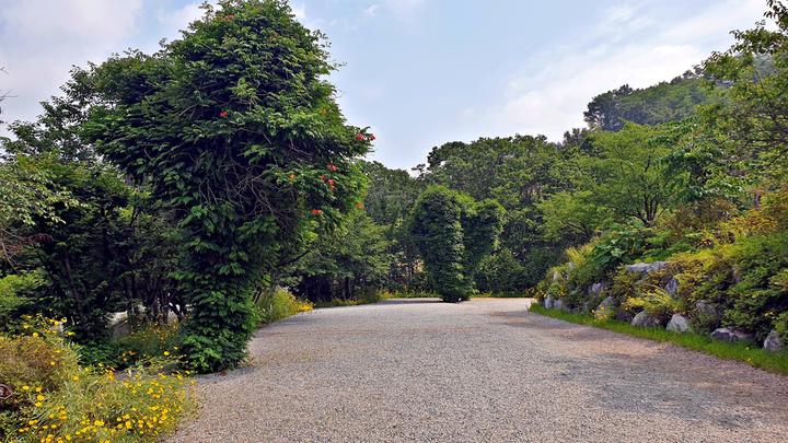 안성비봉산 캠핑장 대표 이미지