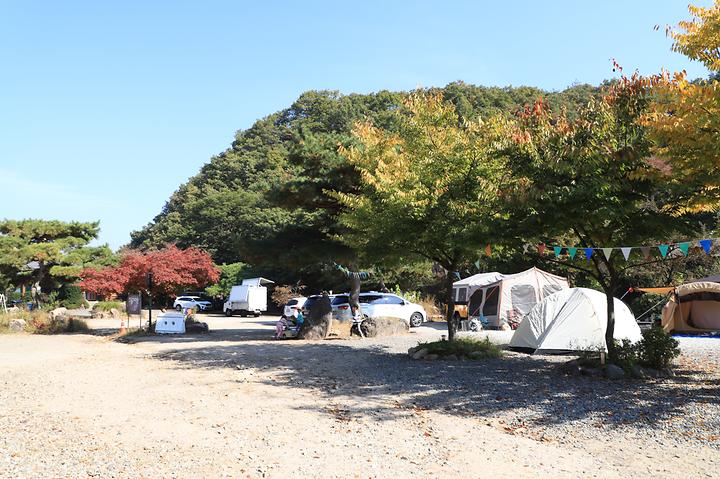 별나무 캠핑장