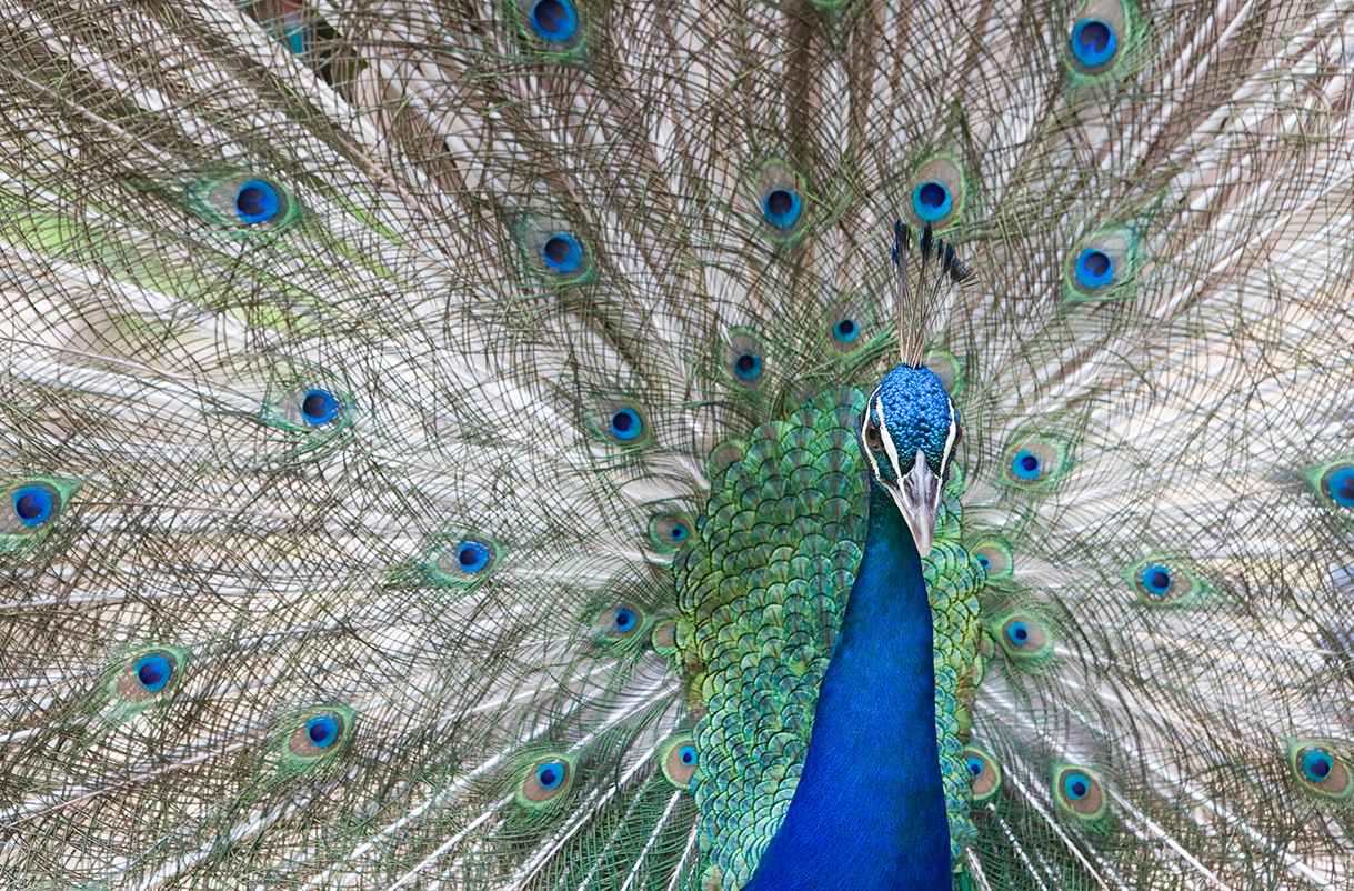 에이원 글램핑 관광농원 7번째 이미지
