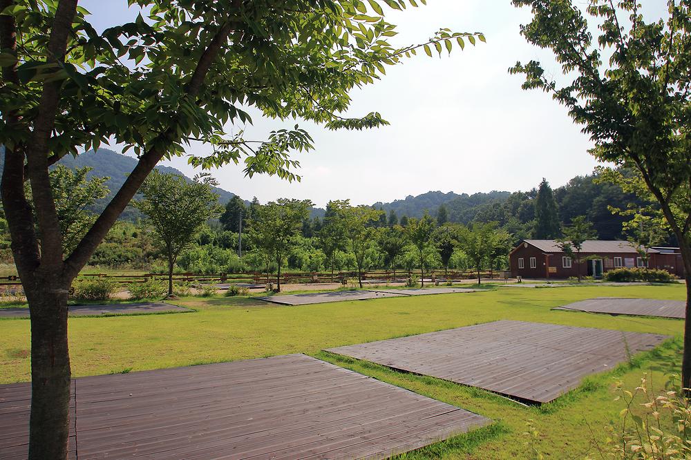 연산 황산벌오토캠핑장