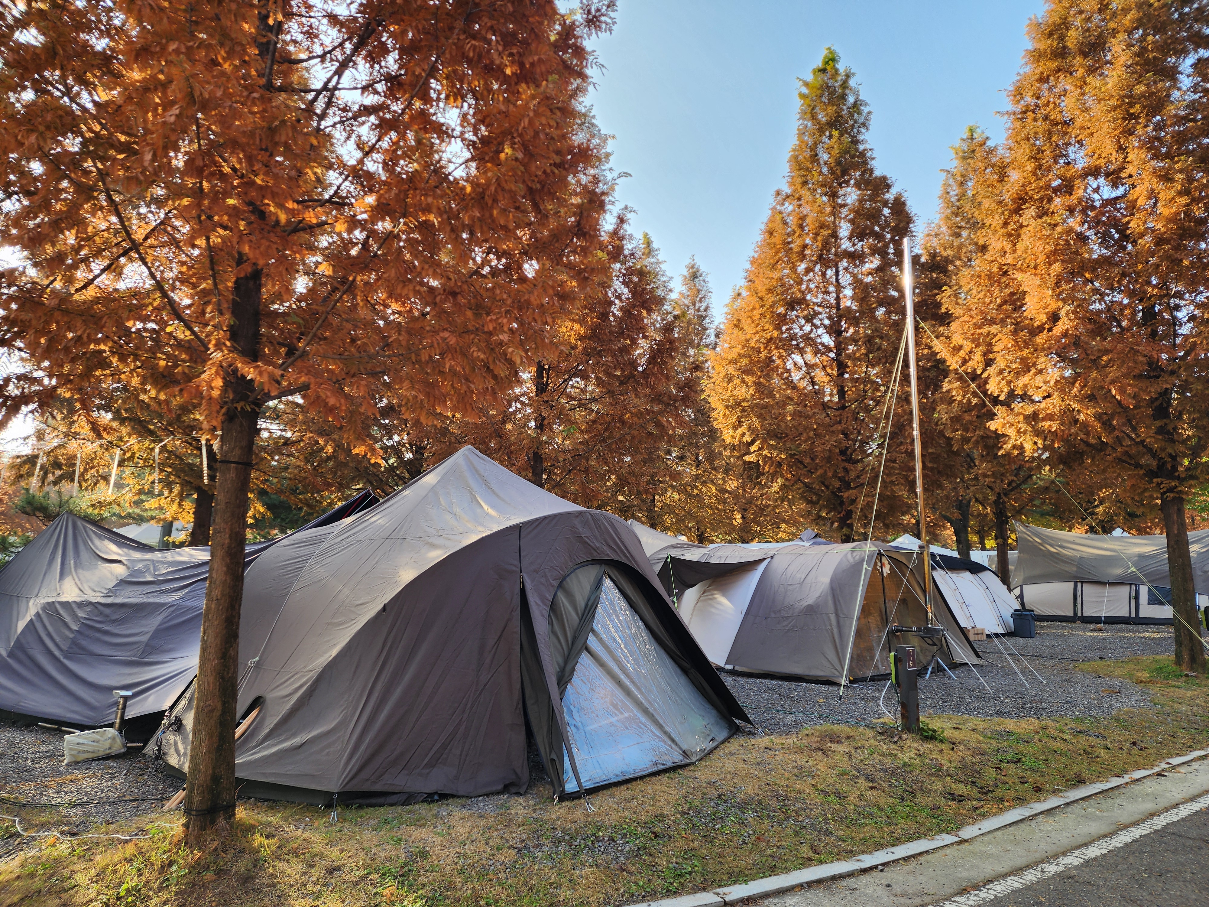 김포캠핑파크 주식회사 35번째 이미지