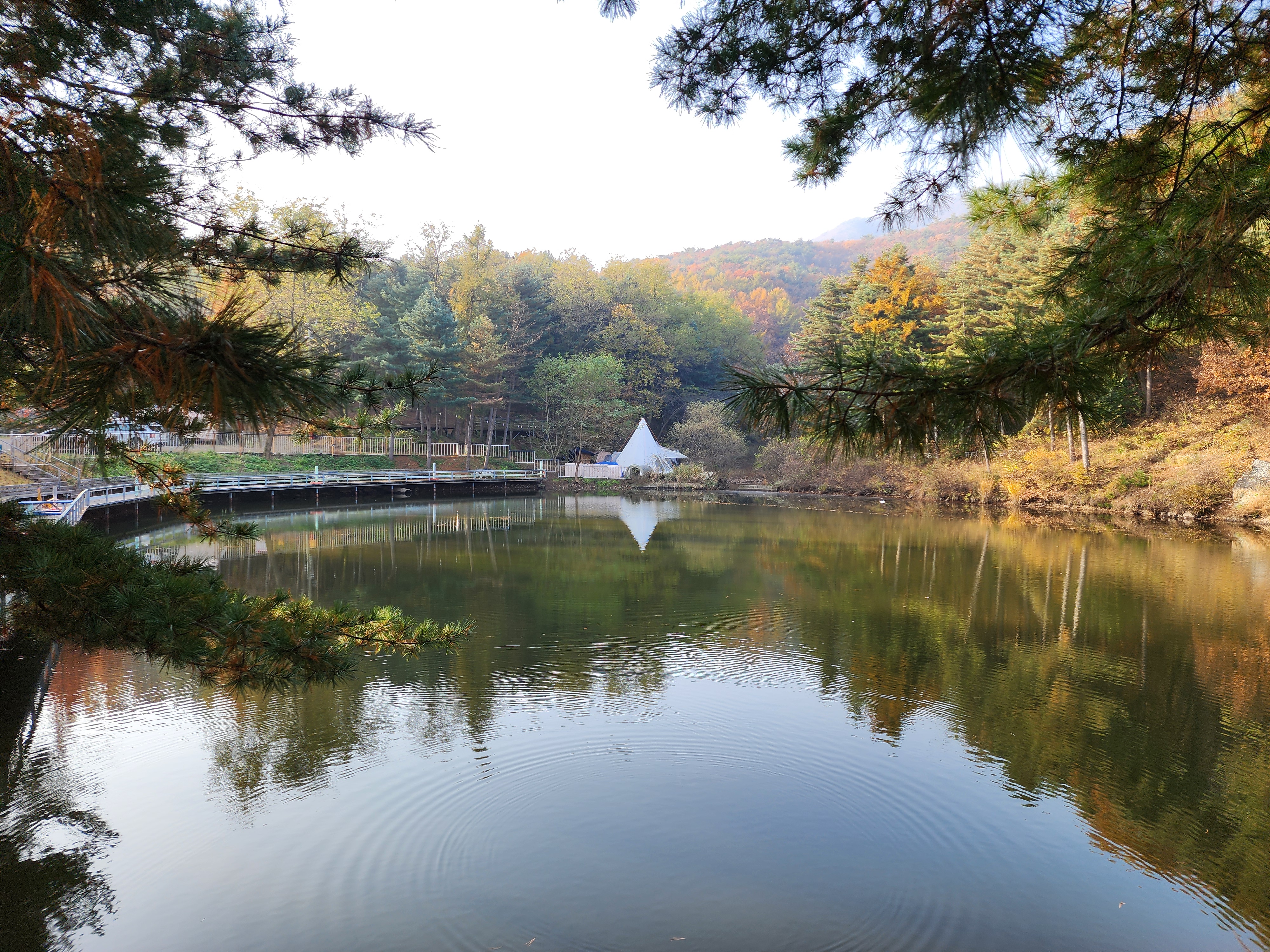 김포캠핑파크 주식회사 16번째 이미지