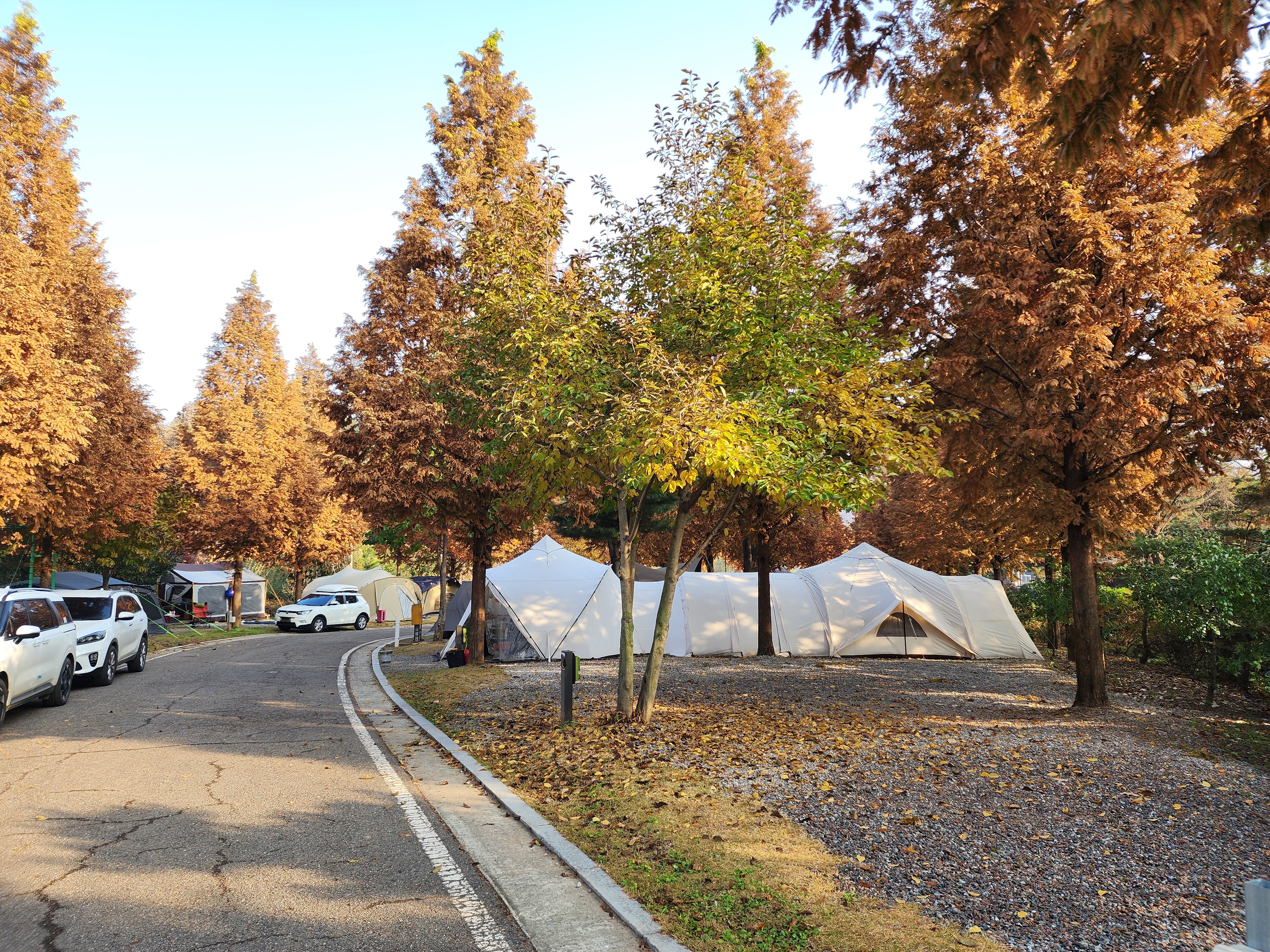 김포캠핑파크 주식회사 12번째 이미지