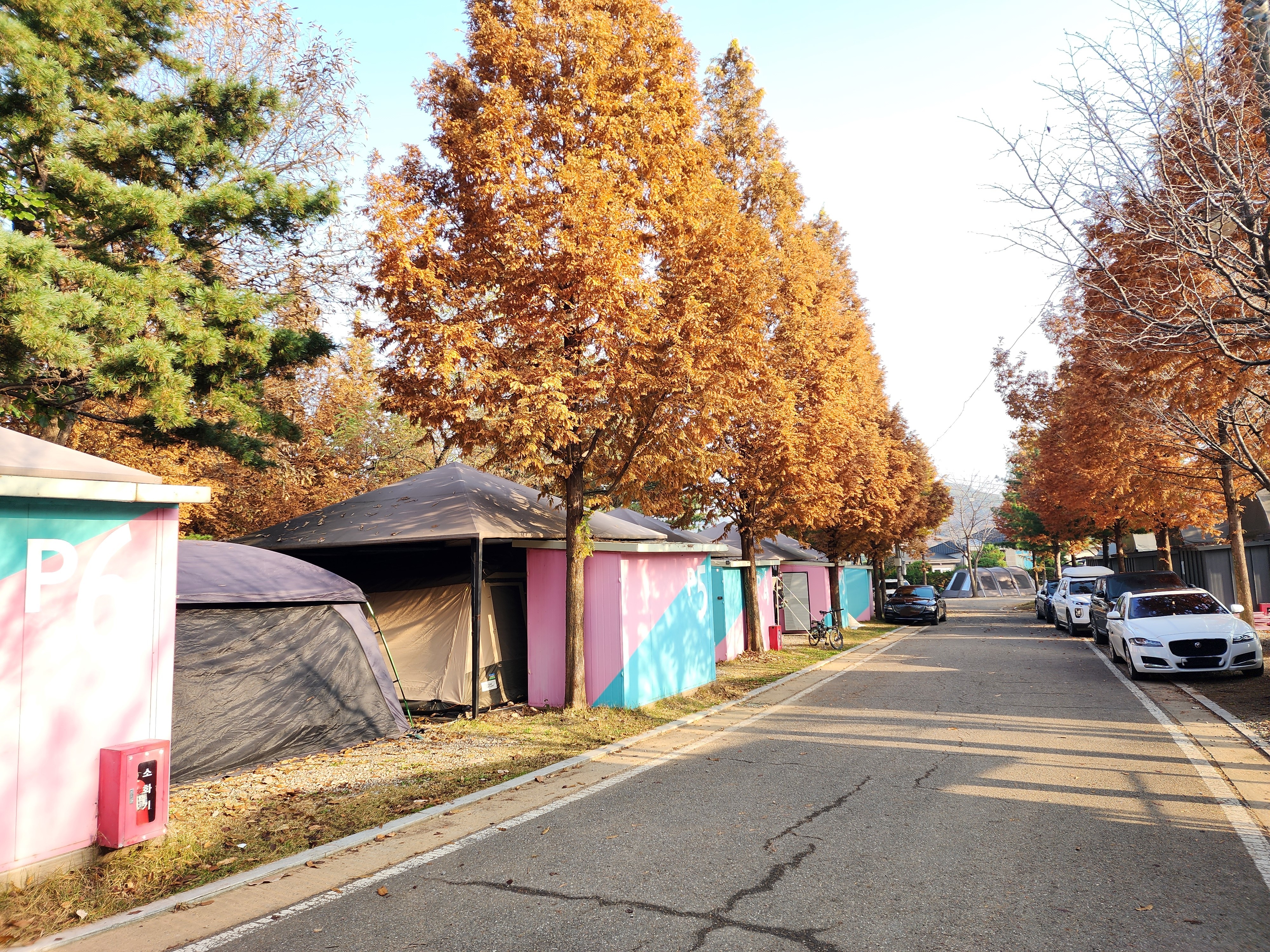 김포캠핑파크 주식회사 10번째 이미지