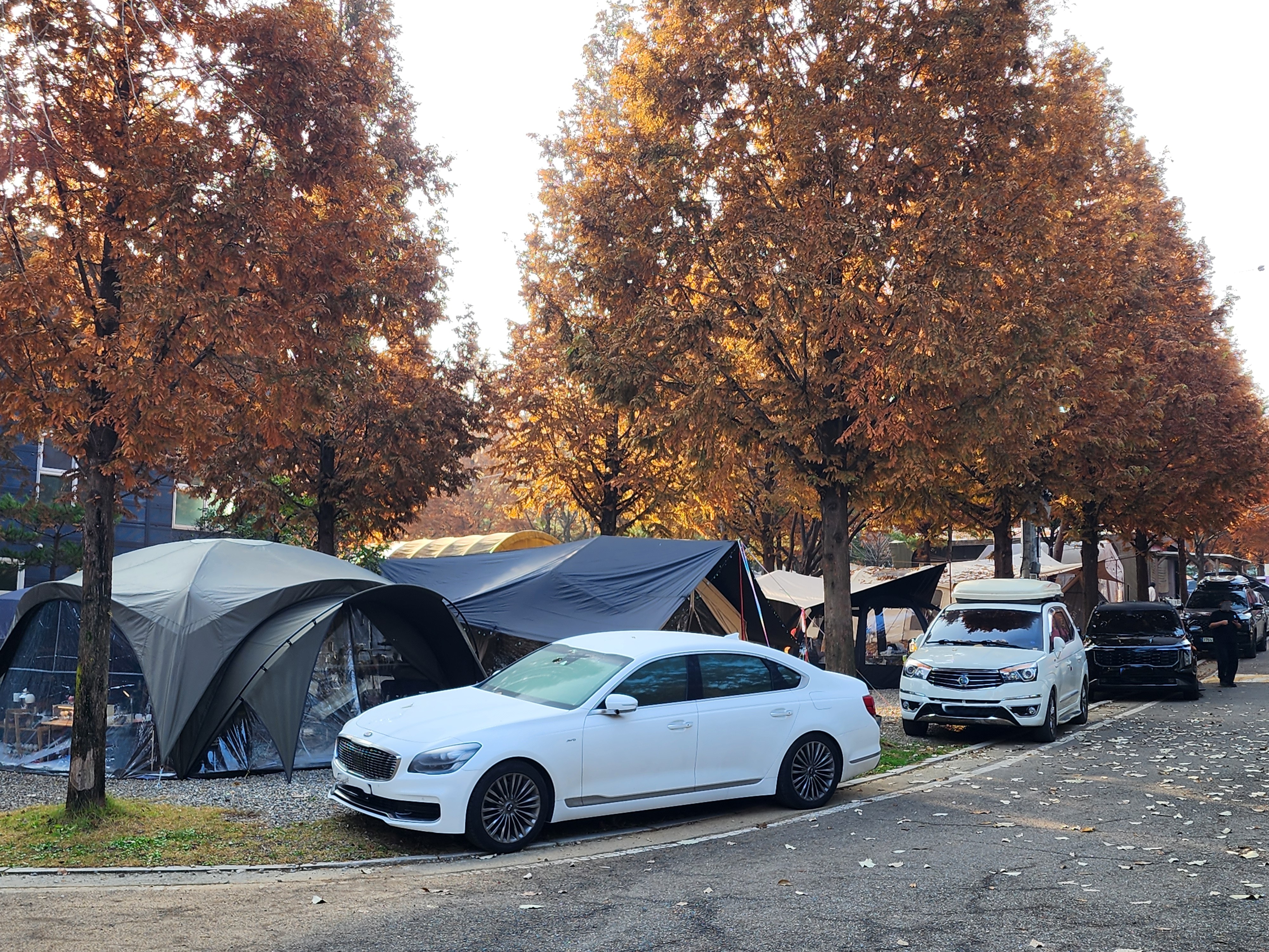 김포캠핑파크 주식회사 13번째 이미지