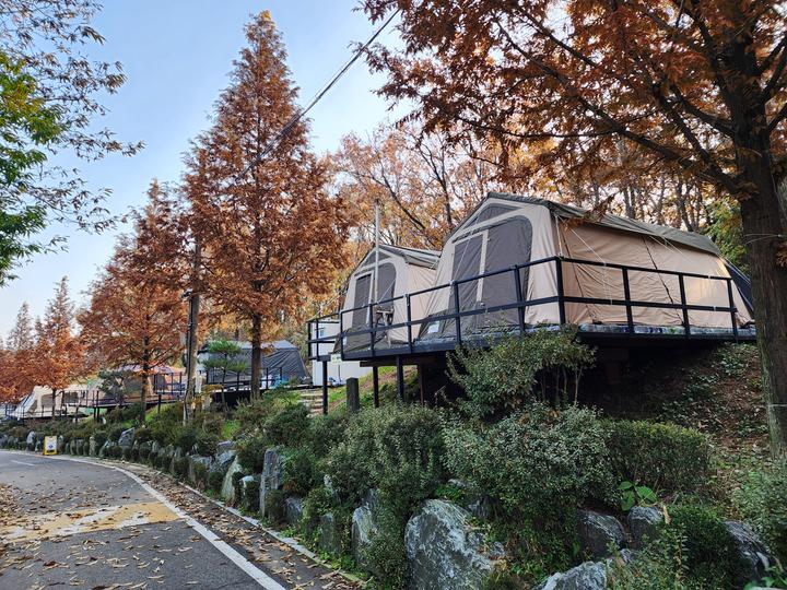 김포캠핑파크 주식회사 대표 이미지