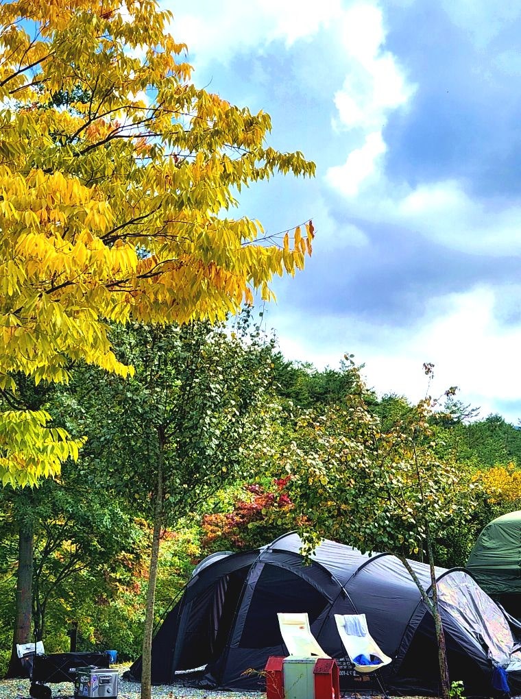 영양수비별빛캠핑장 이미지