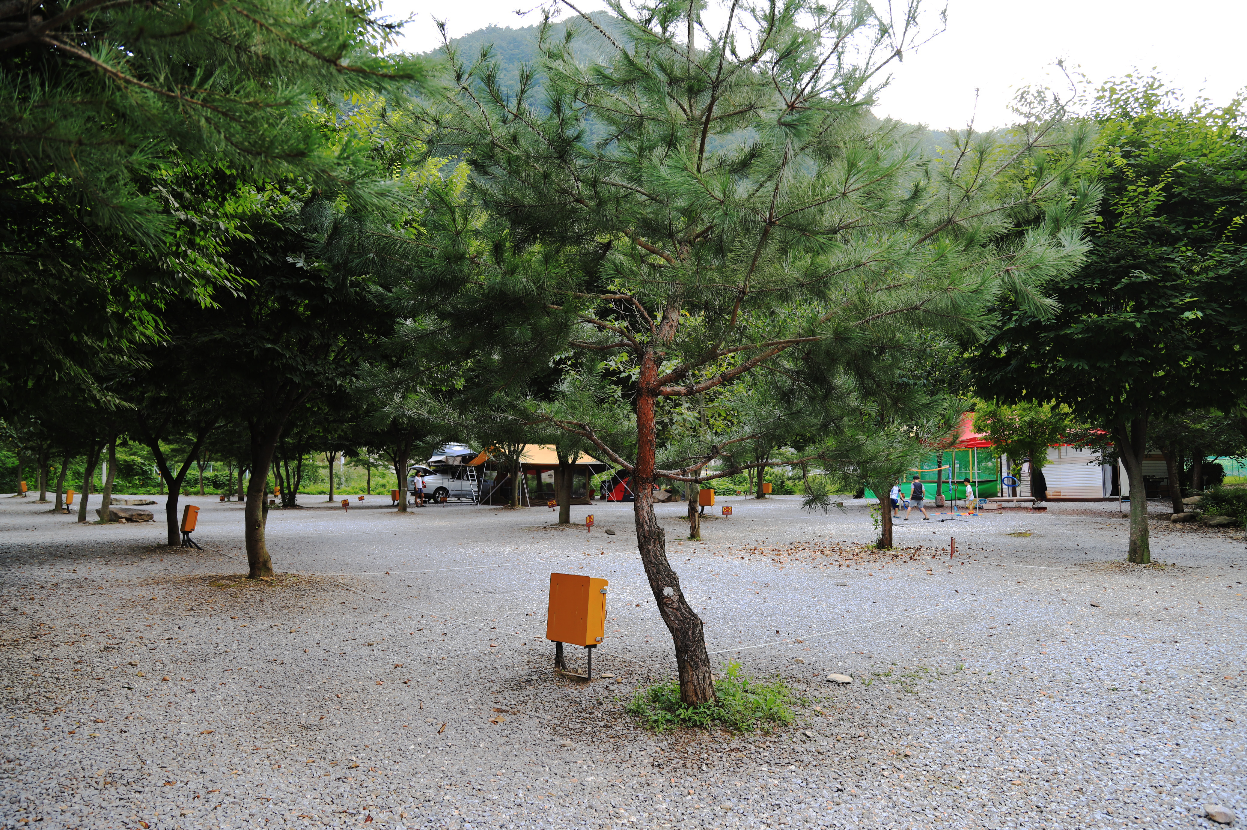 영월약수터 오토캠핑장 이미지