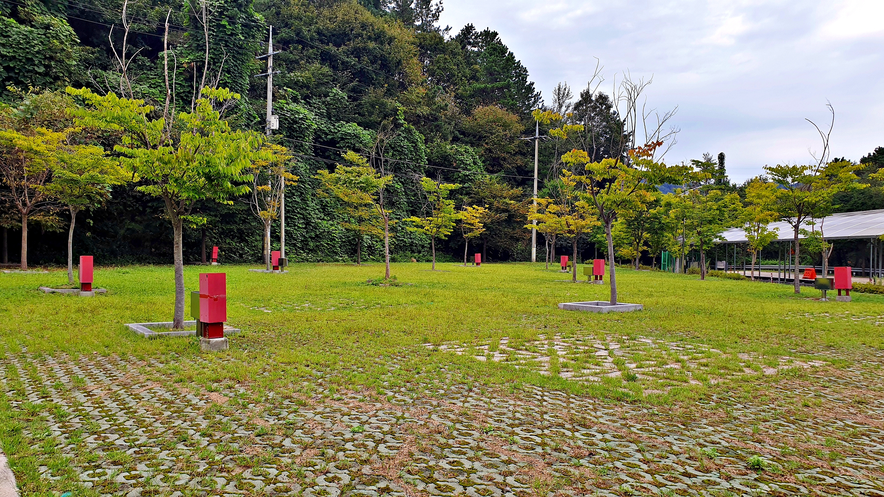 맑은숲캠프 25번째 이미지